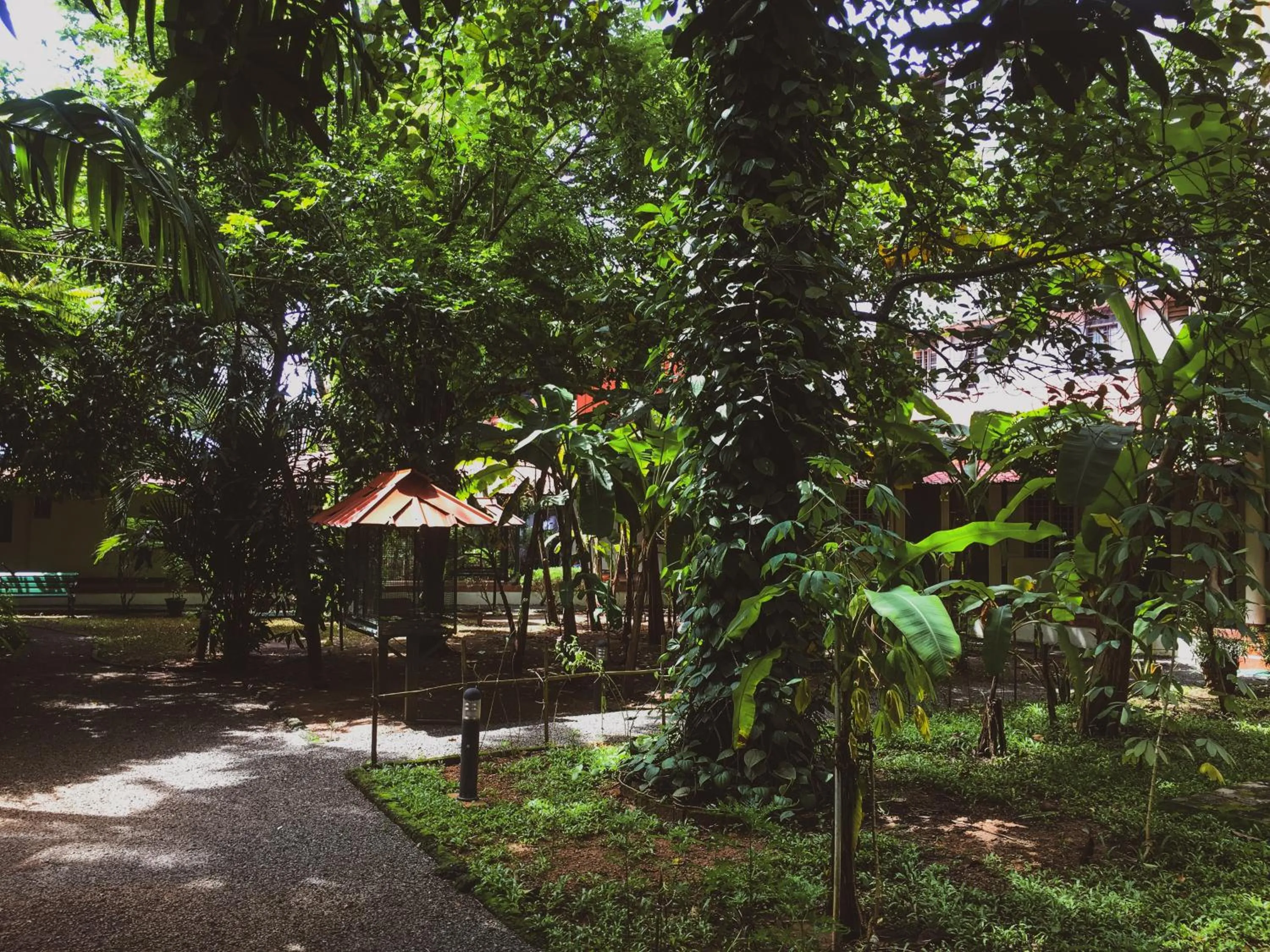 Palm Grove Service Villa