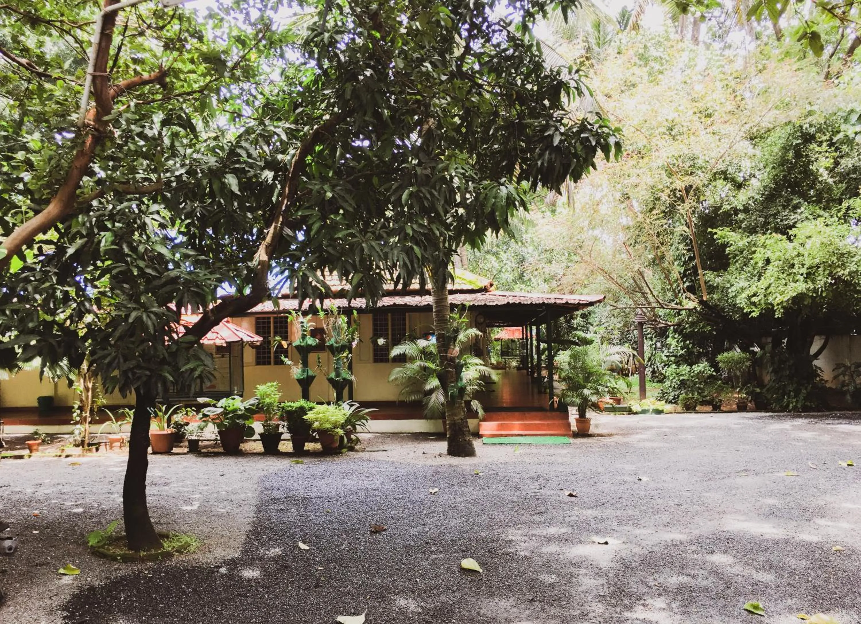 Palm Grove Service Villa