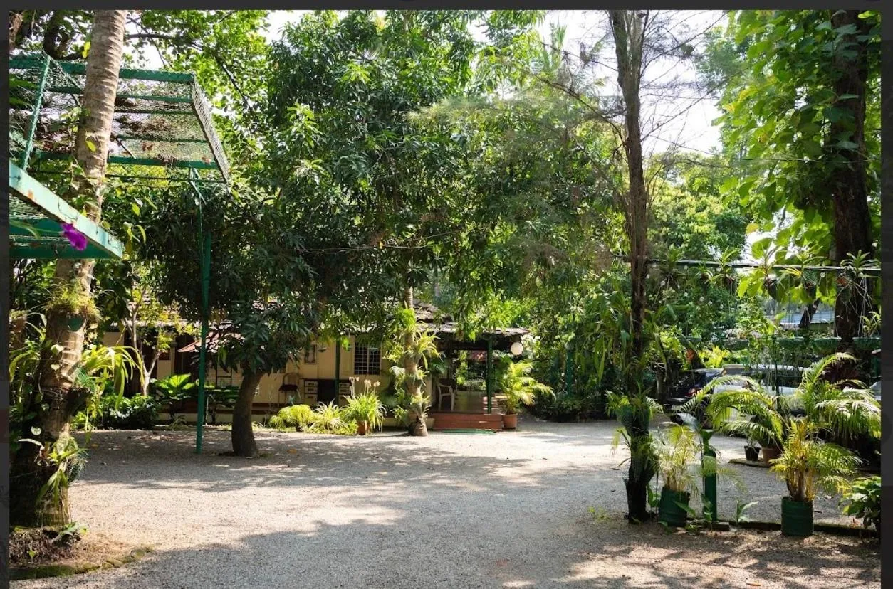 Palm Grove Service Villa