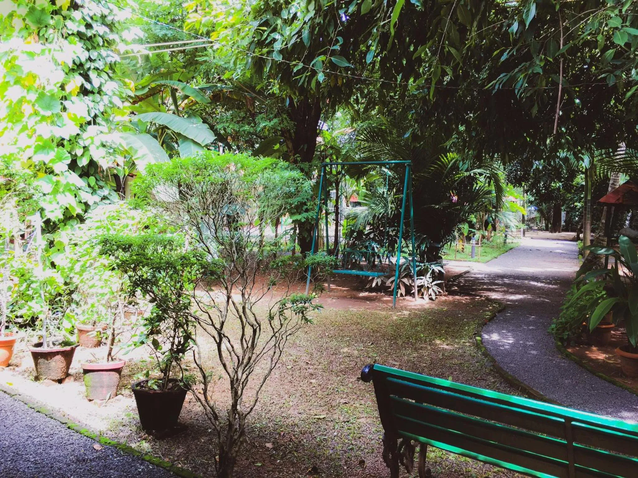 Palm Grove Service Villa