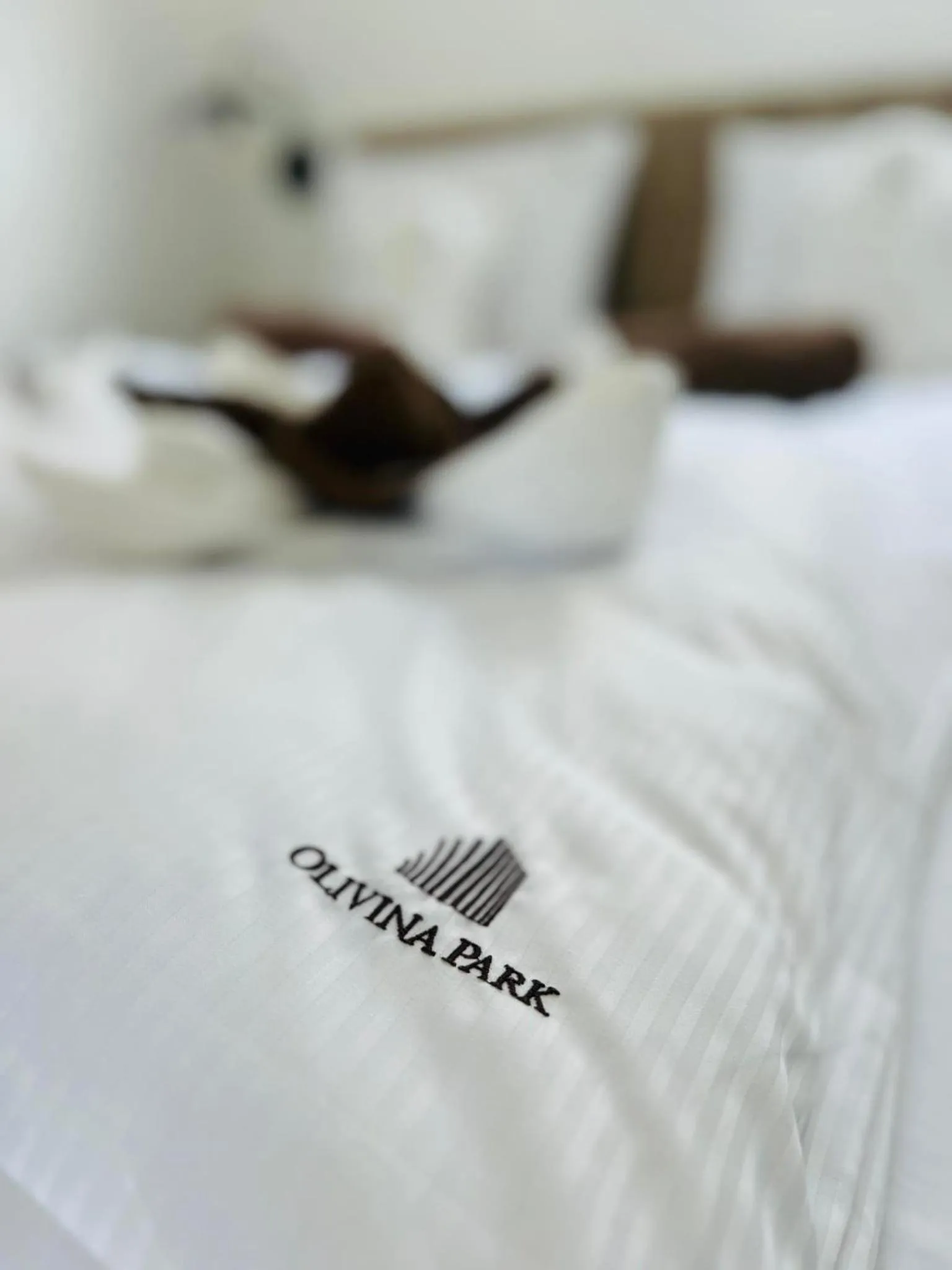 Logo/Certificate/Sign, Bed in Amber Park Spa
