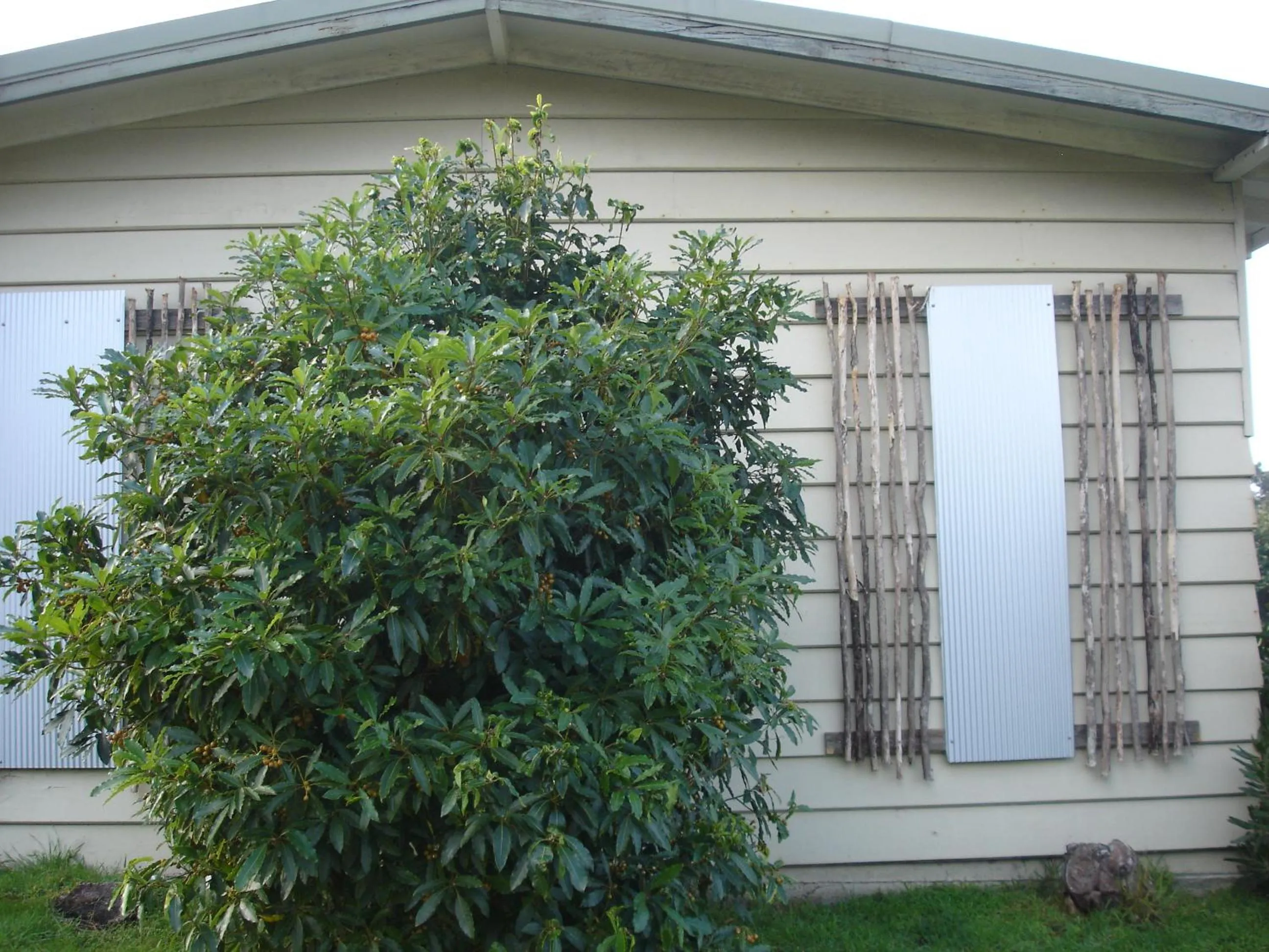 Property building in Bicheno by the Bay