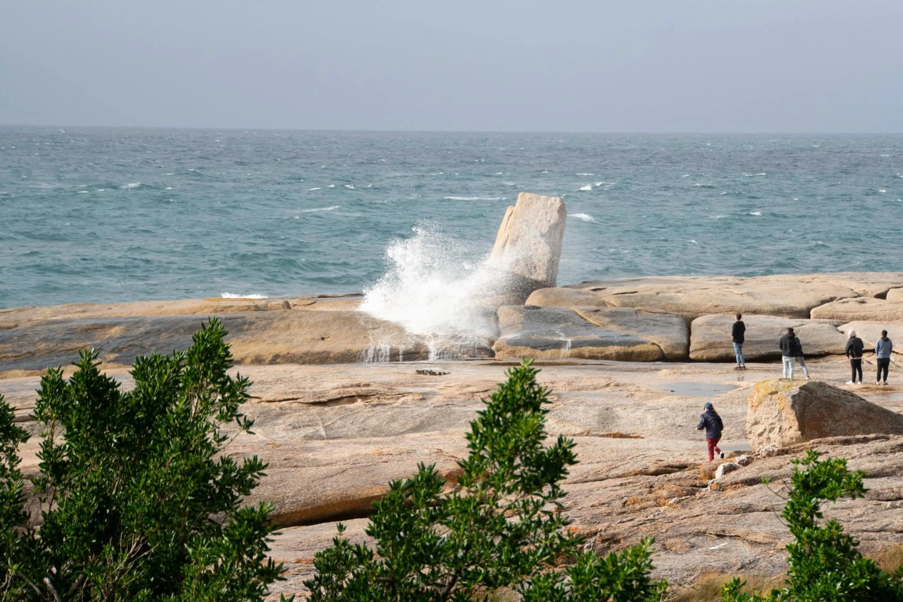 Natural landscape in Bicheno by the Bay
