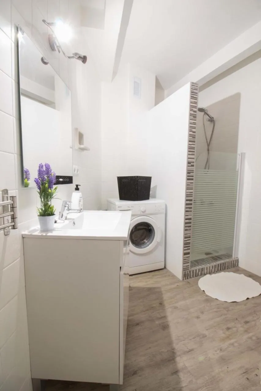 Shower in Apartamento Rivera#2