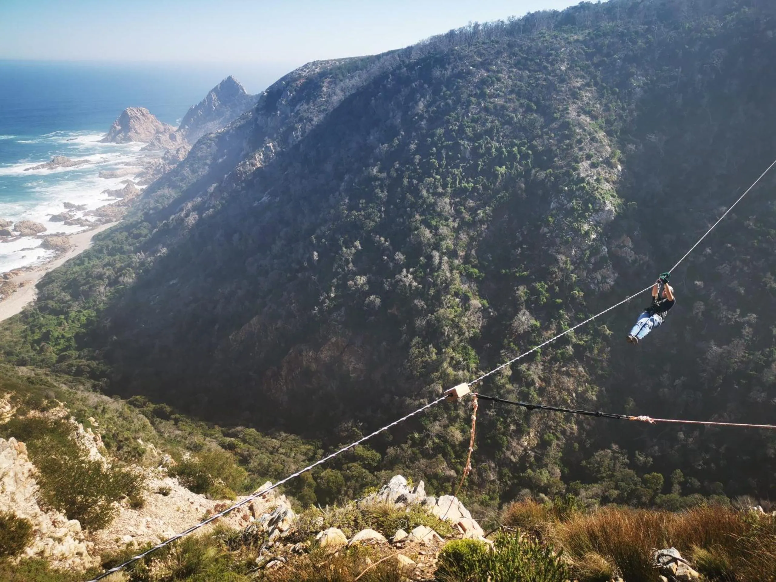 Activities in One on Bollard