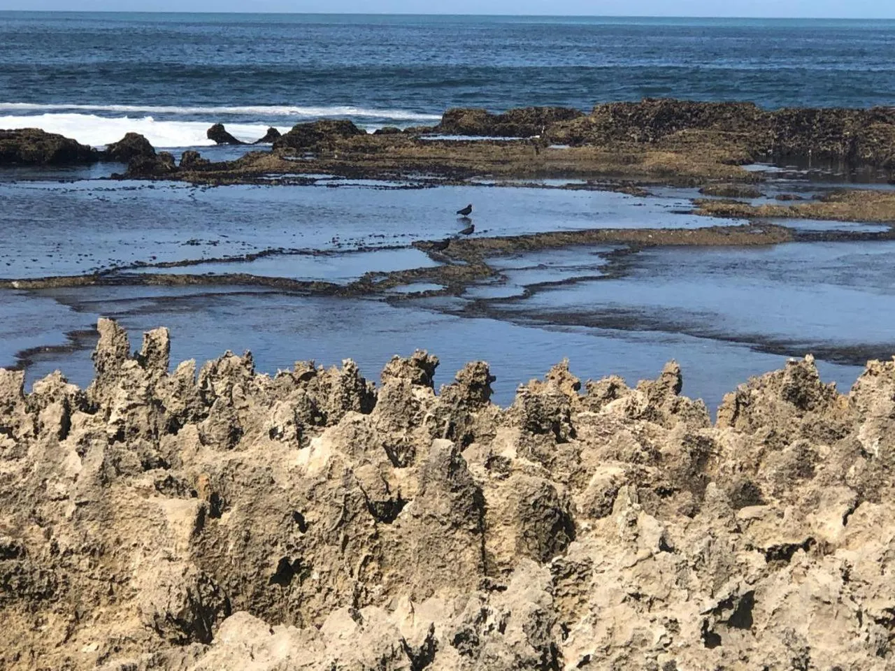 Natural landscape in One on Bollard