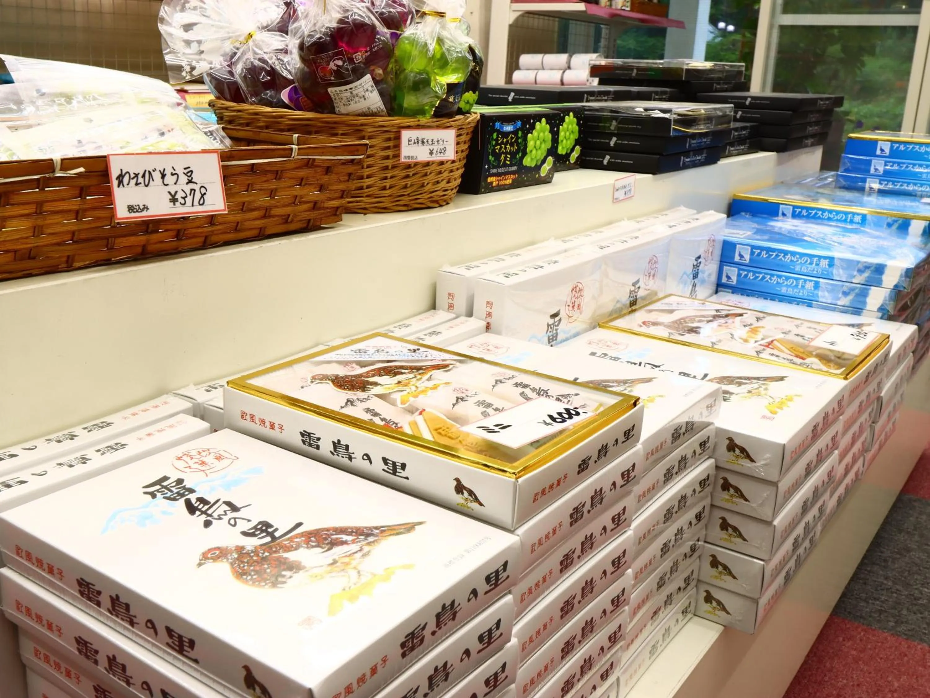 Area and facilities in Hotel Sunny Valley