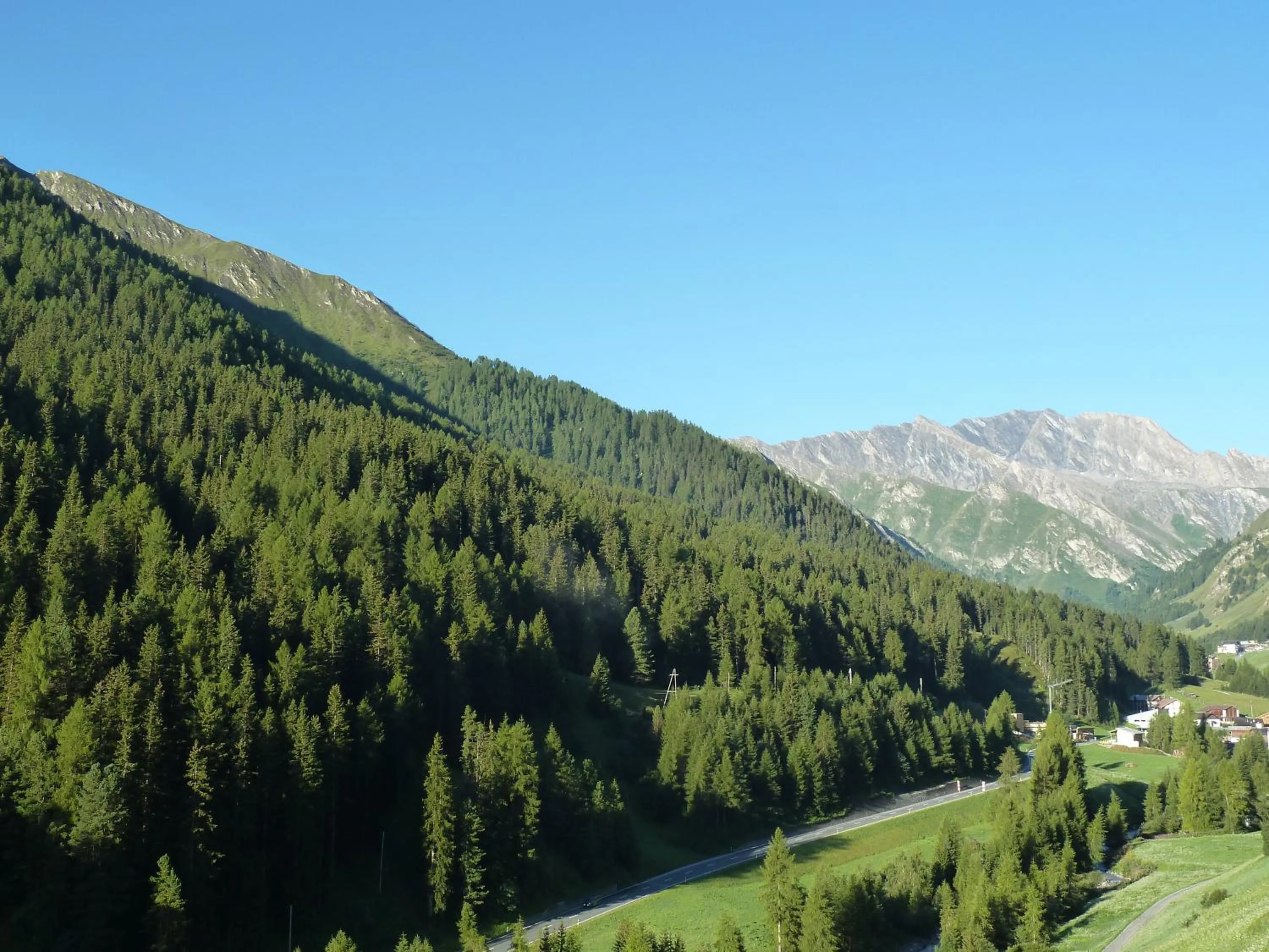 View (from property/room) in Chasa Sulai Appartements