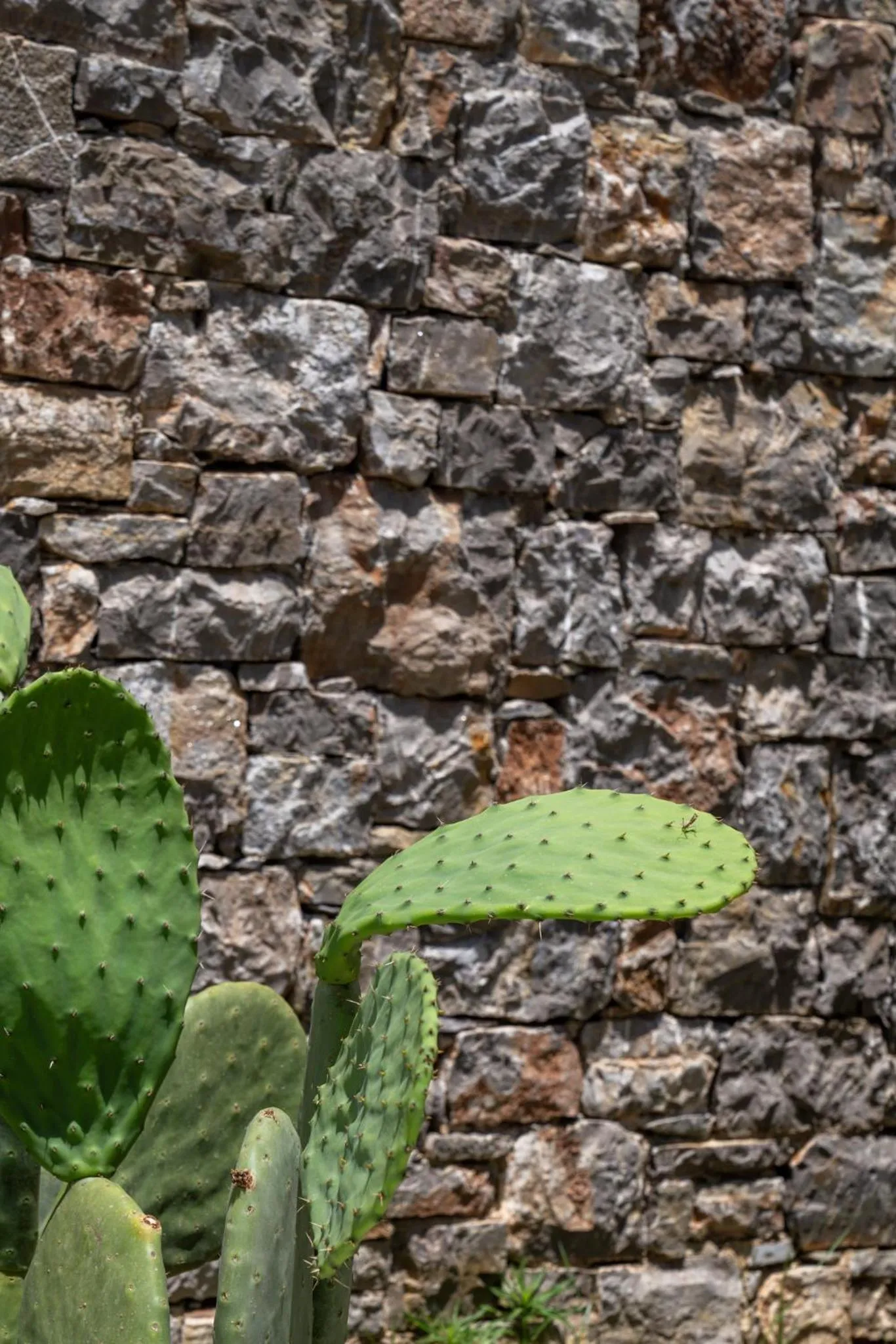 Garden in PHEIA, Vriniotis Resorts
