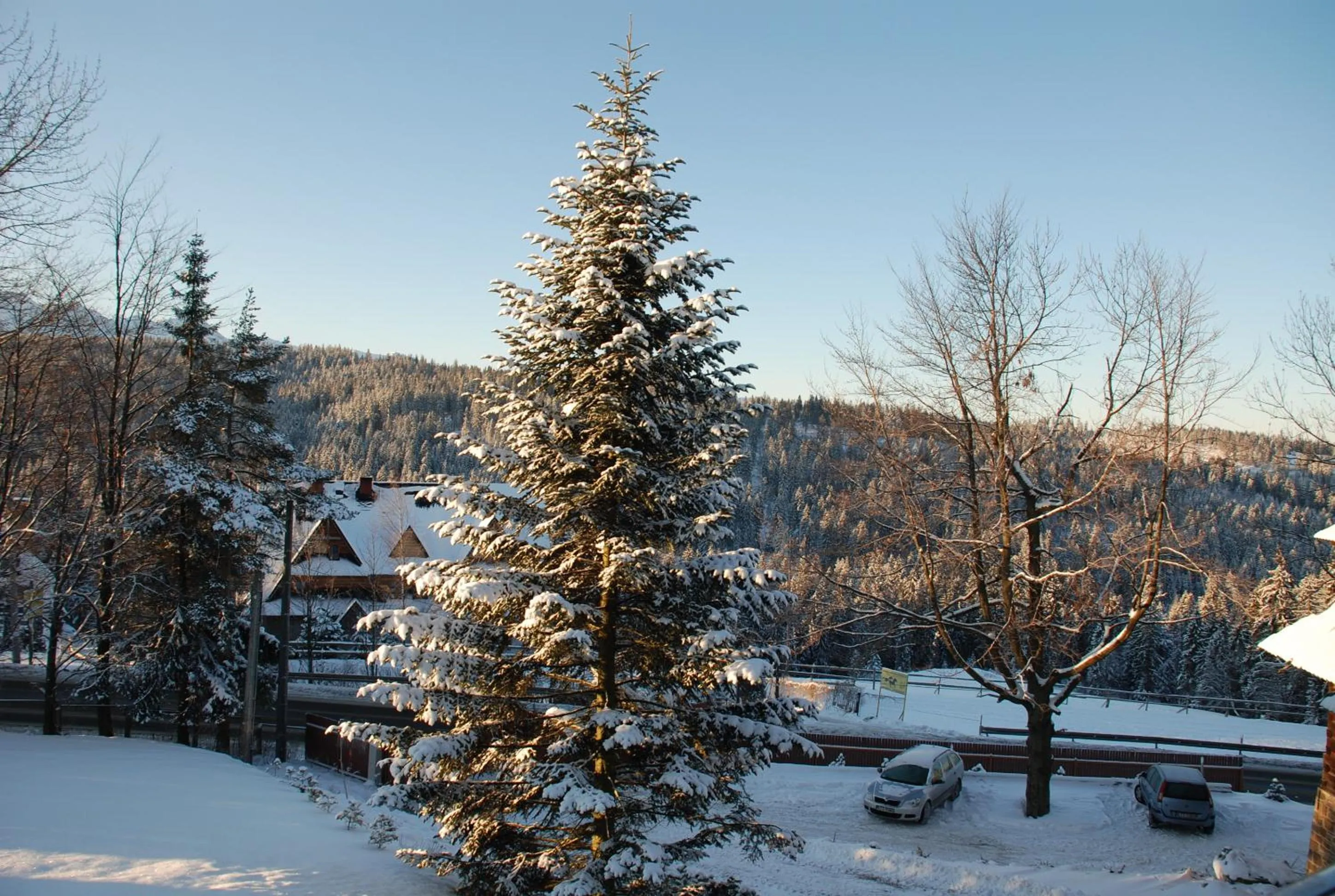 Winter in Villa Park