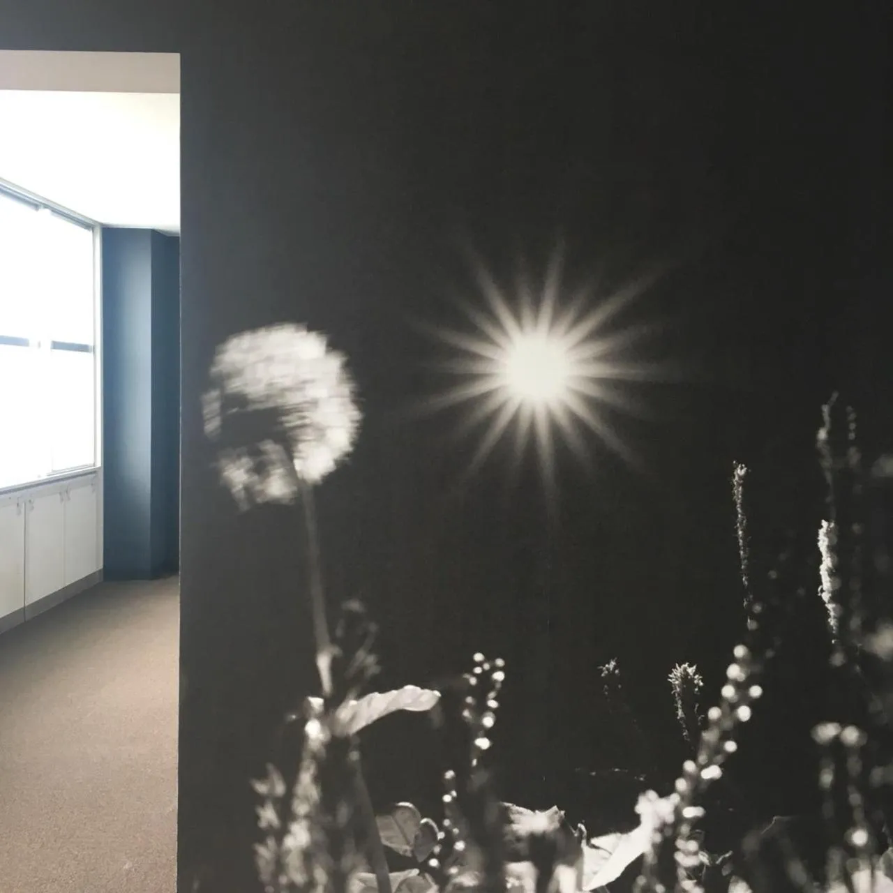 Communal lounge/ TV room in EN hostel