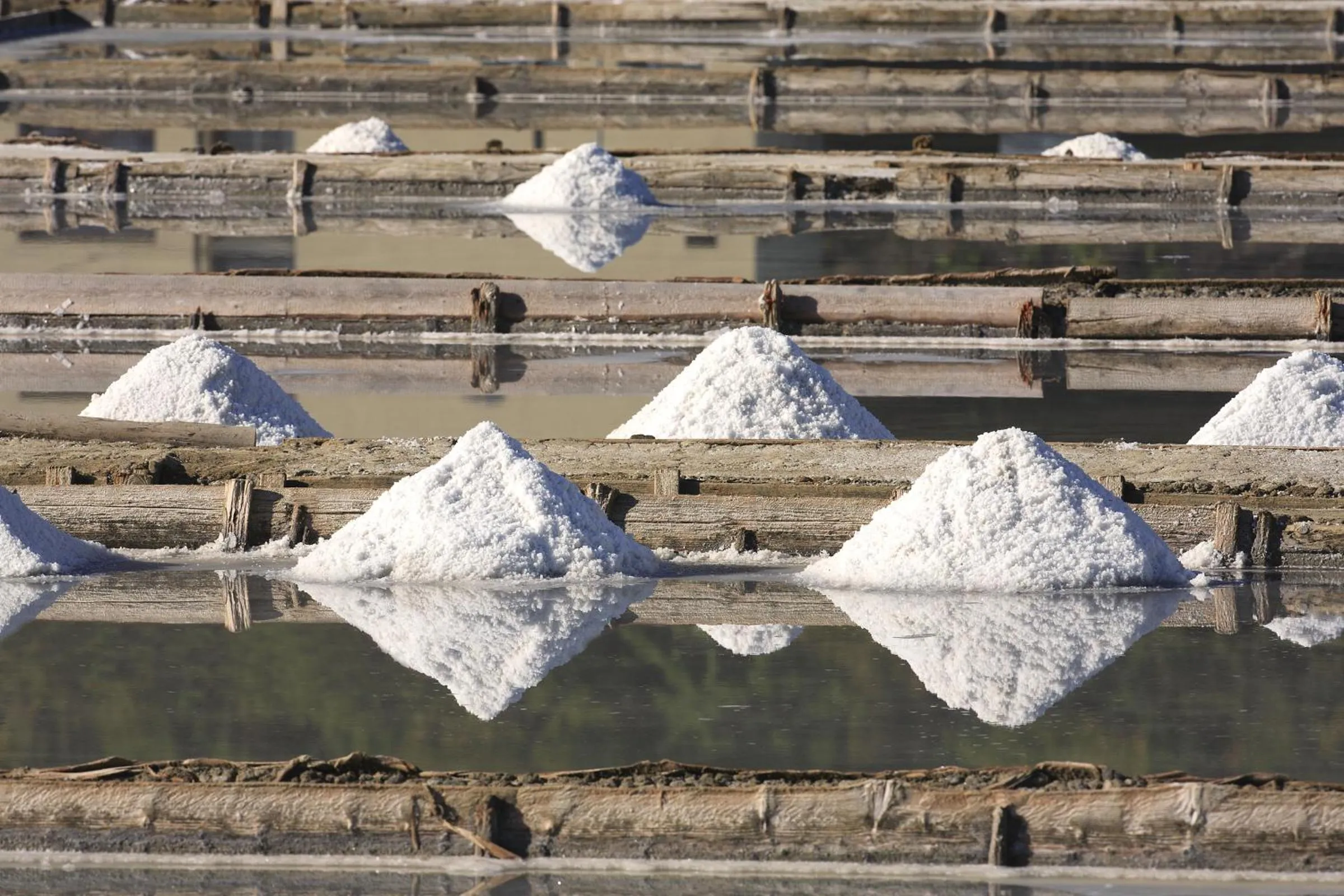 Area and facilities in Hotel Laguna - Terme Krka