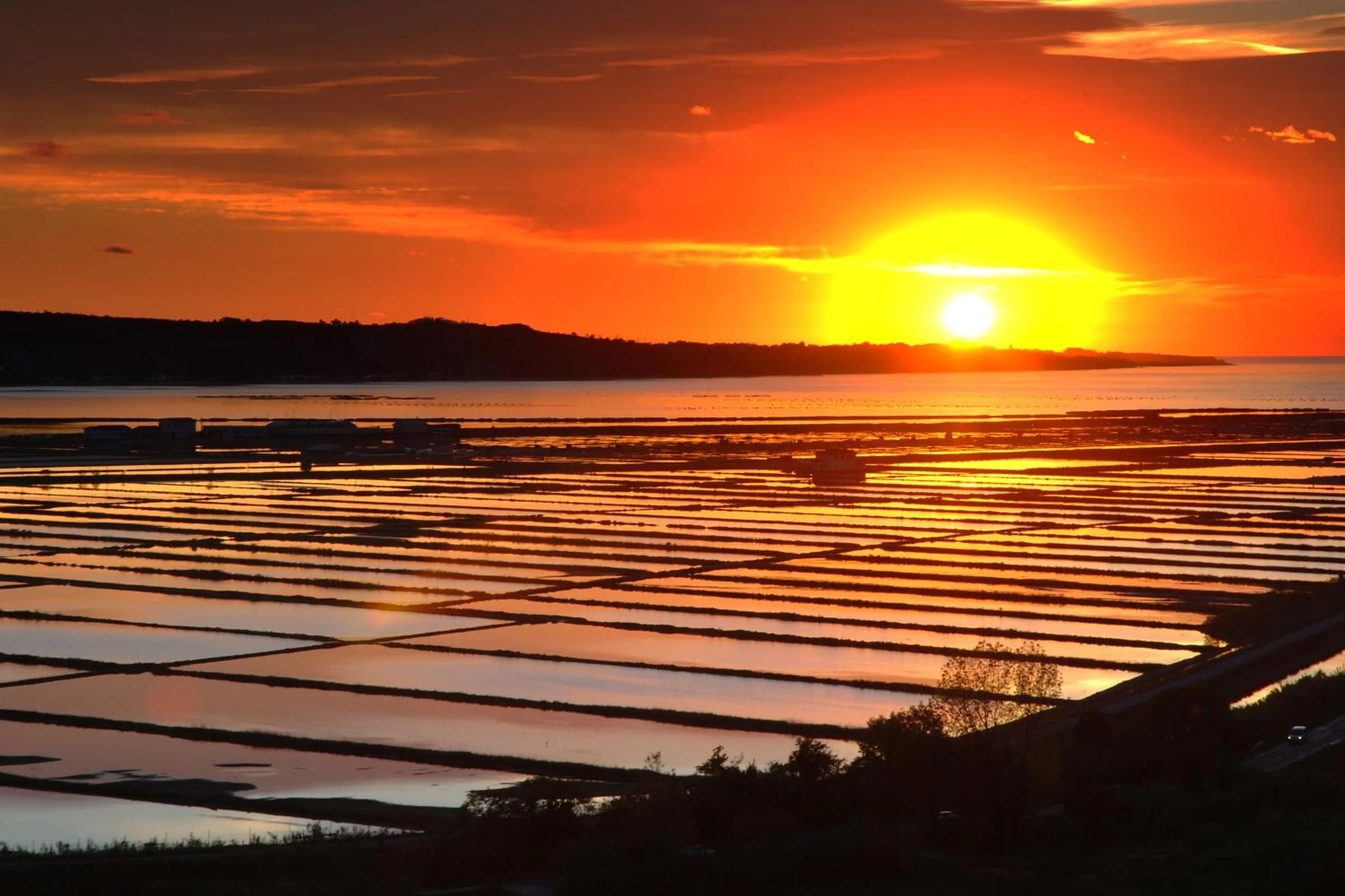 Area and facilities in Holiday Park Vile - Terme Krka