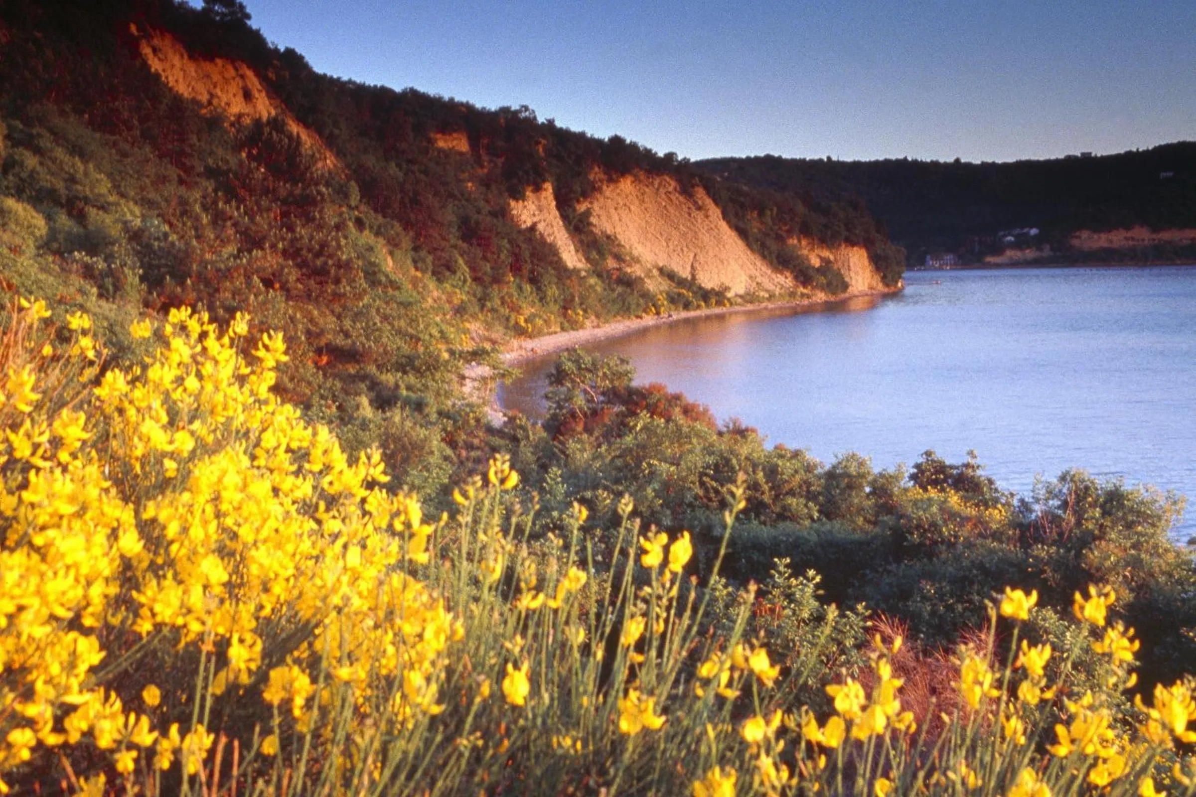 Area and facilities in Holiday Park Vile - Terme Krka