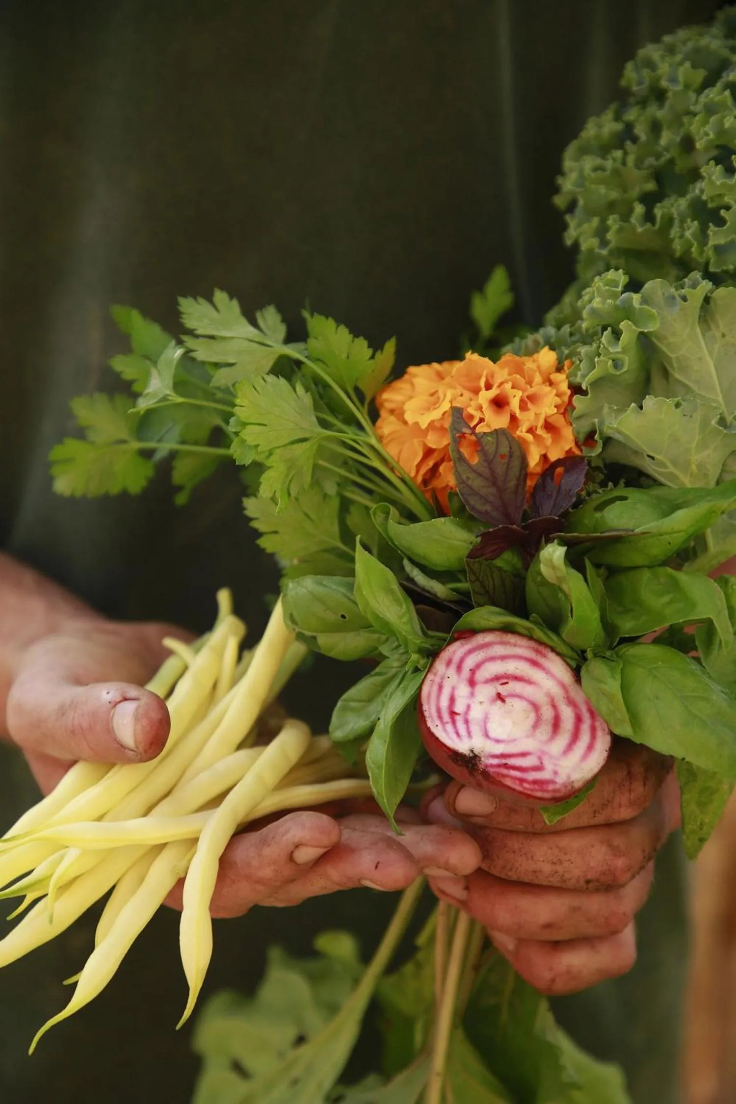 Restaurant/places to eat in Noah Surf House Portugal