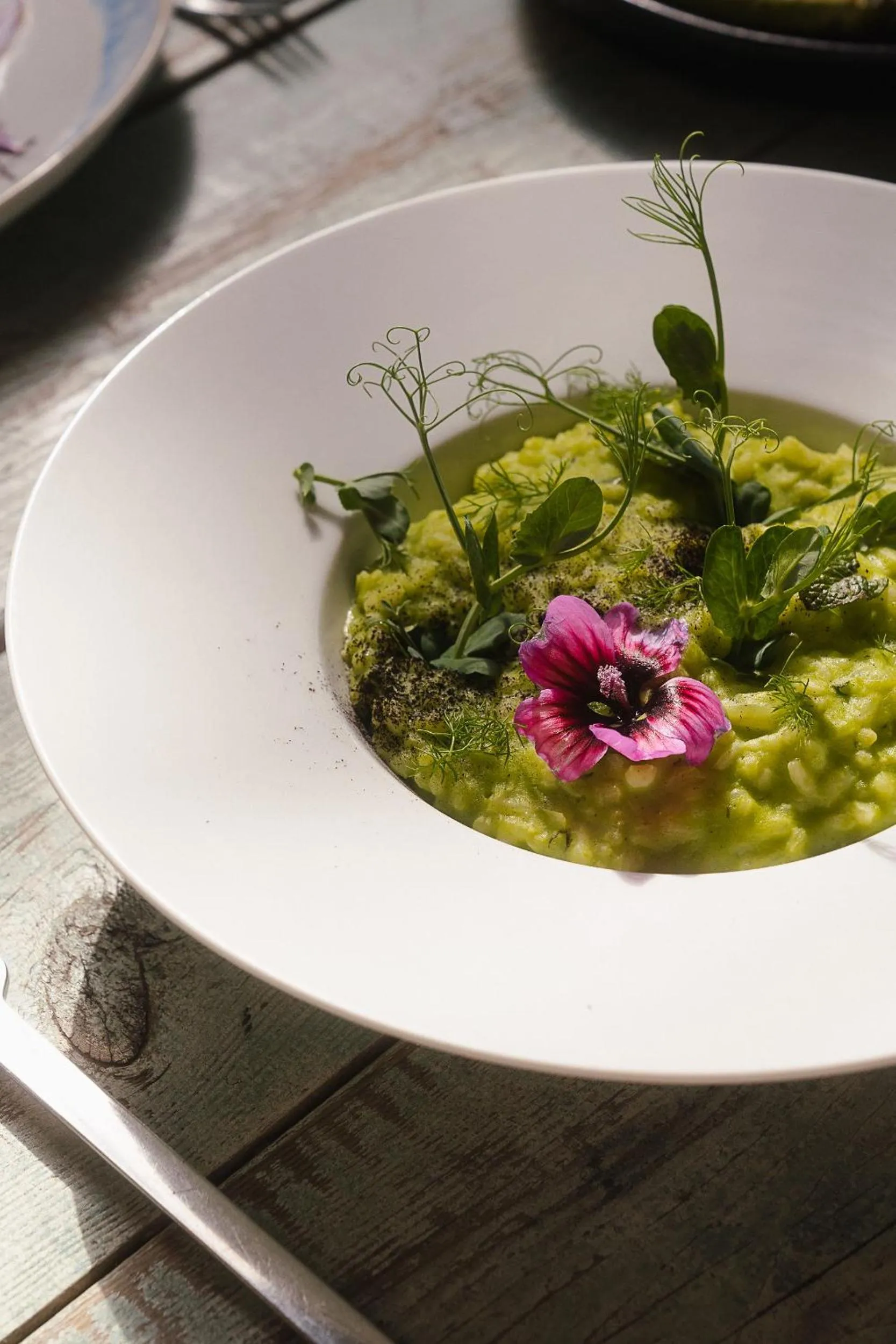 Restaurant/places to eat in Noah Surf House Portugal