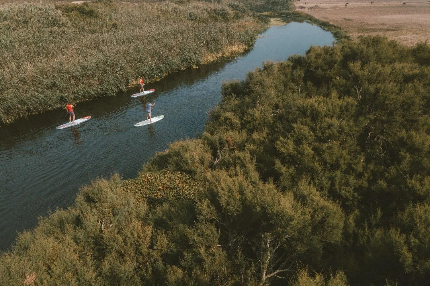 Activities in Noah Surf House Portugal