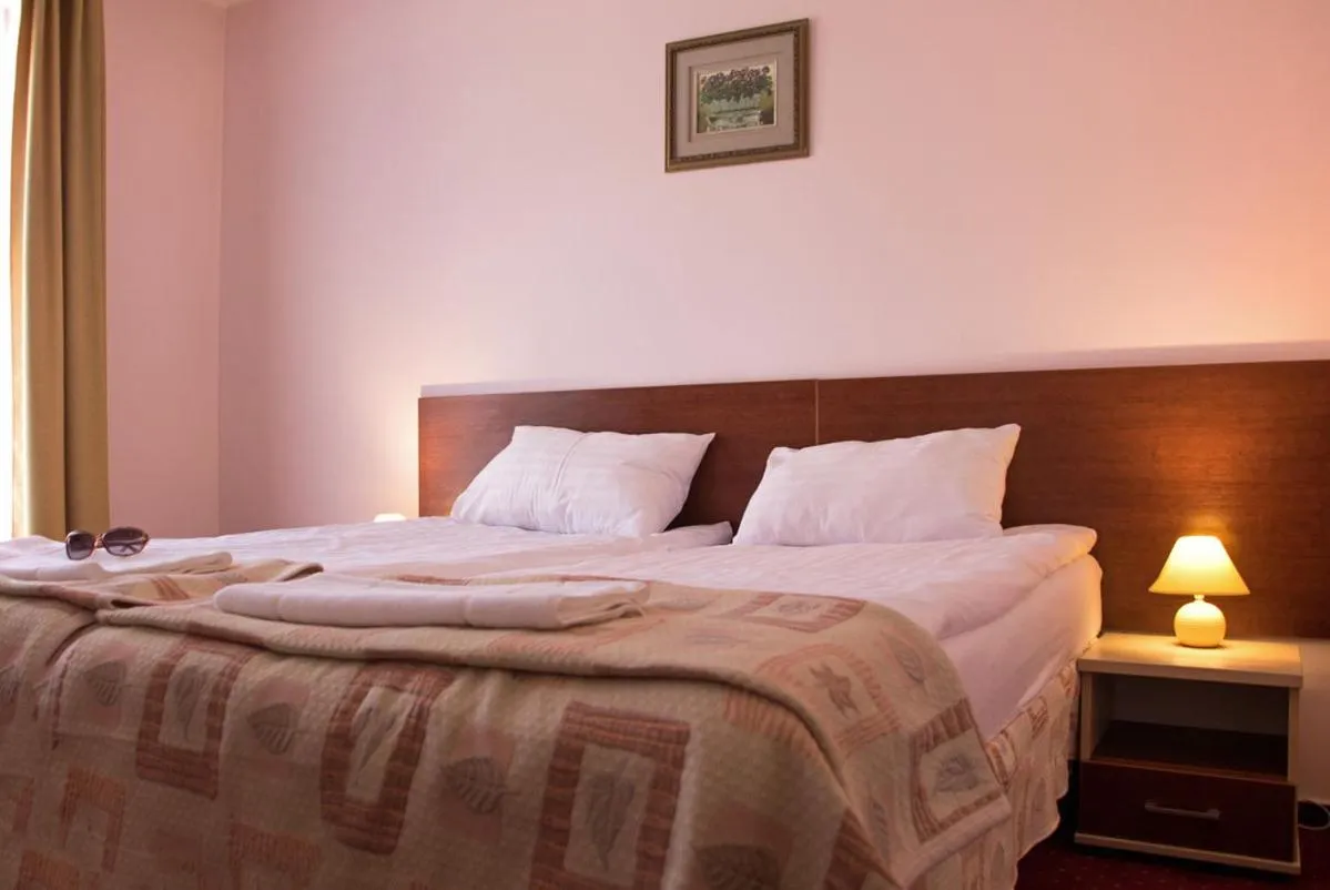 Bed in Hotel Aleksander
