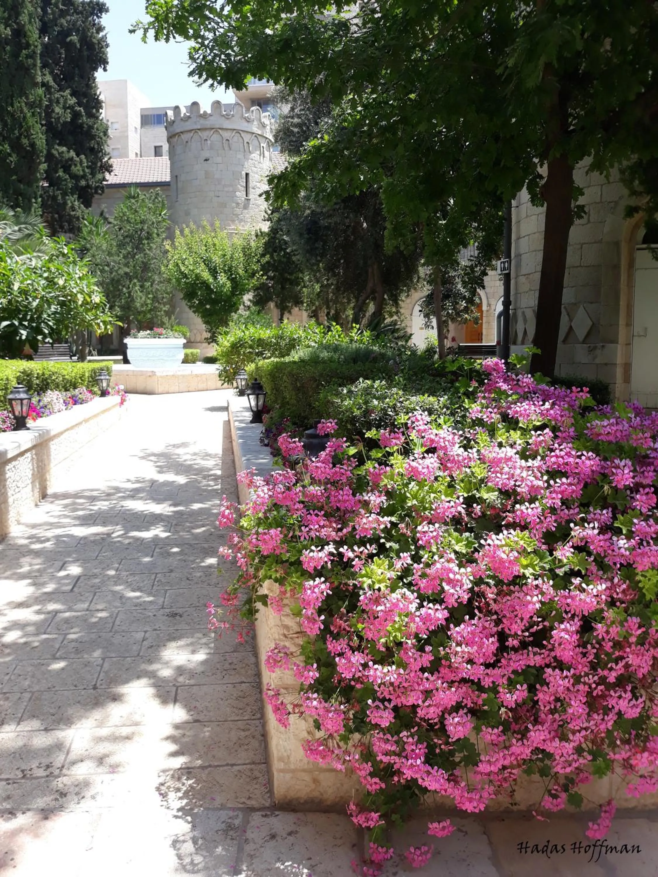 Garden in Sergei Palace Hotel