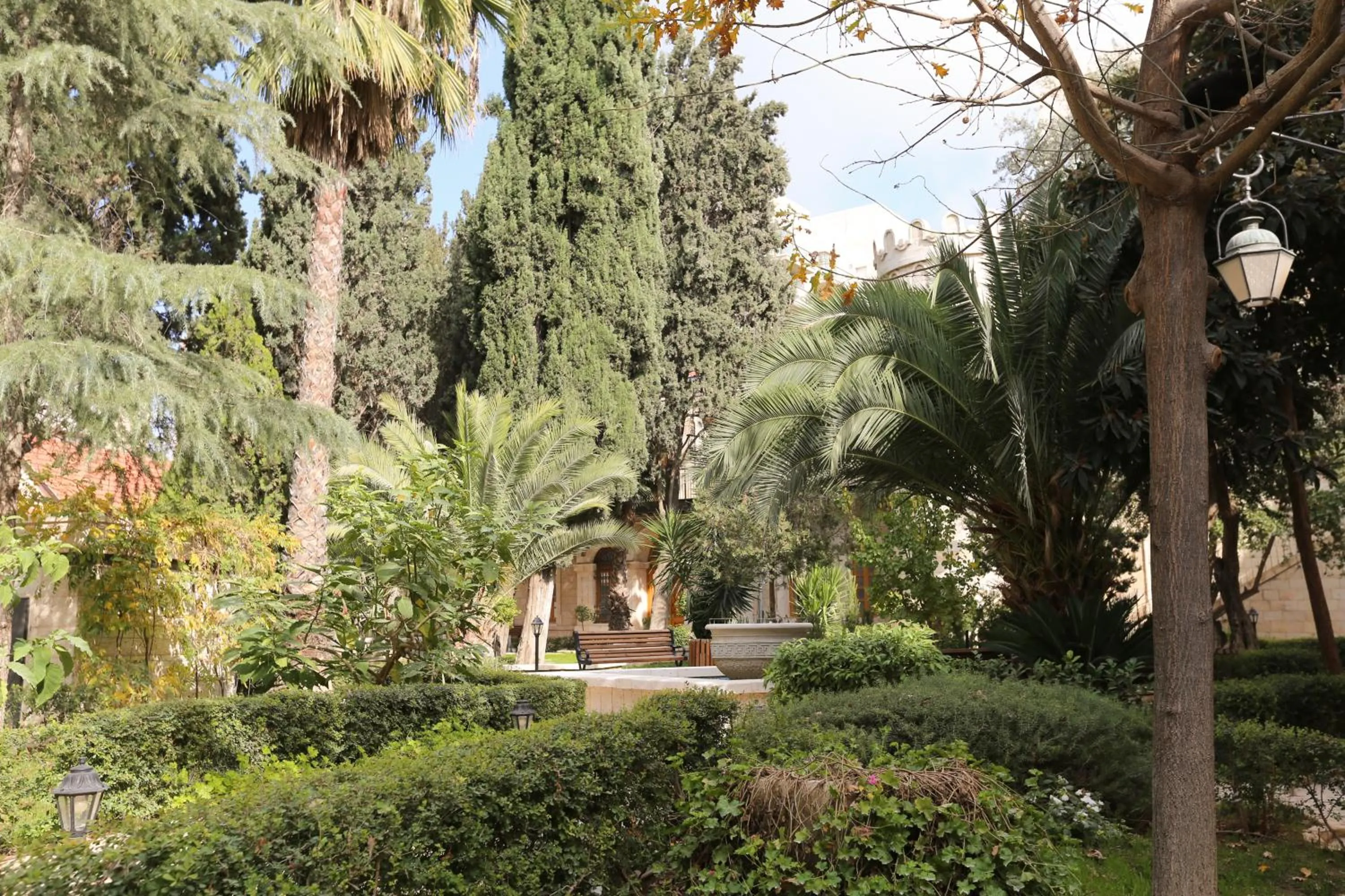 Garden view in Sergei Palace Hotel