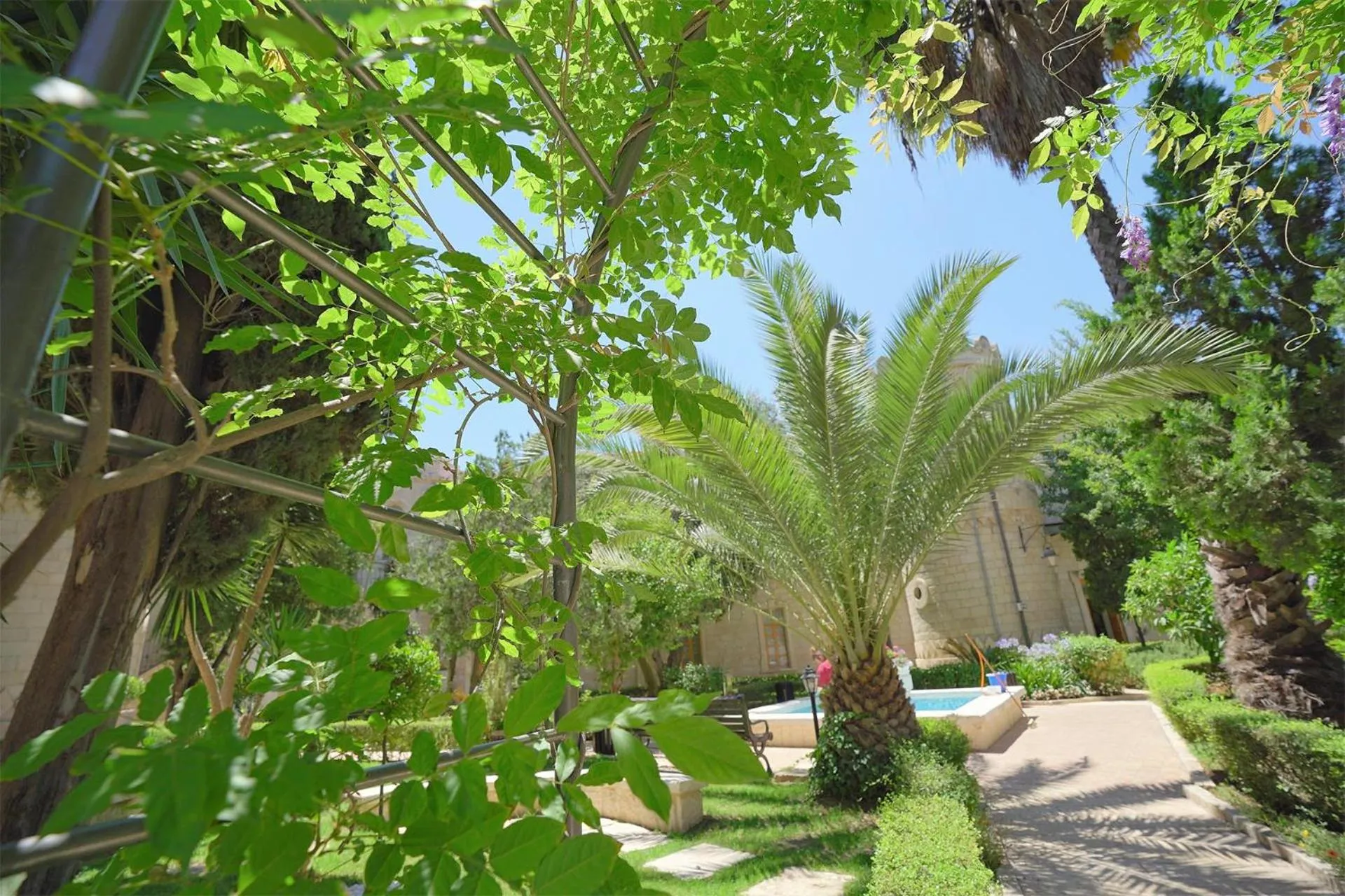Garden in Sergei Palace Hotel