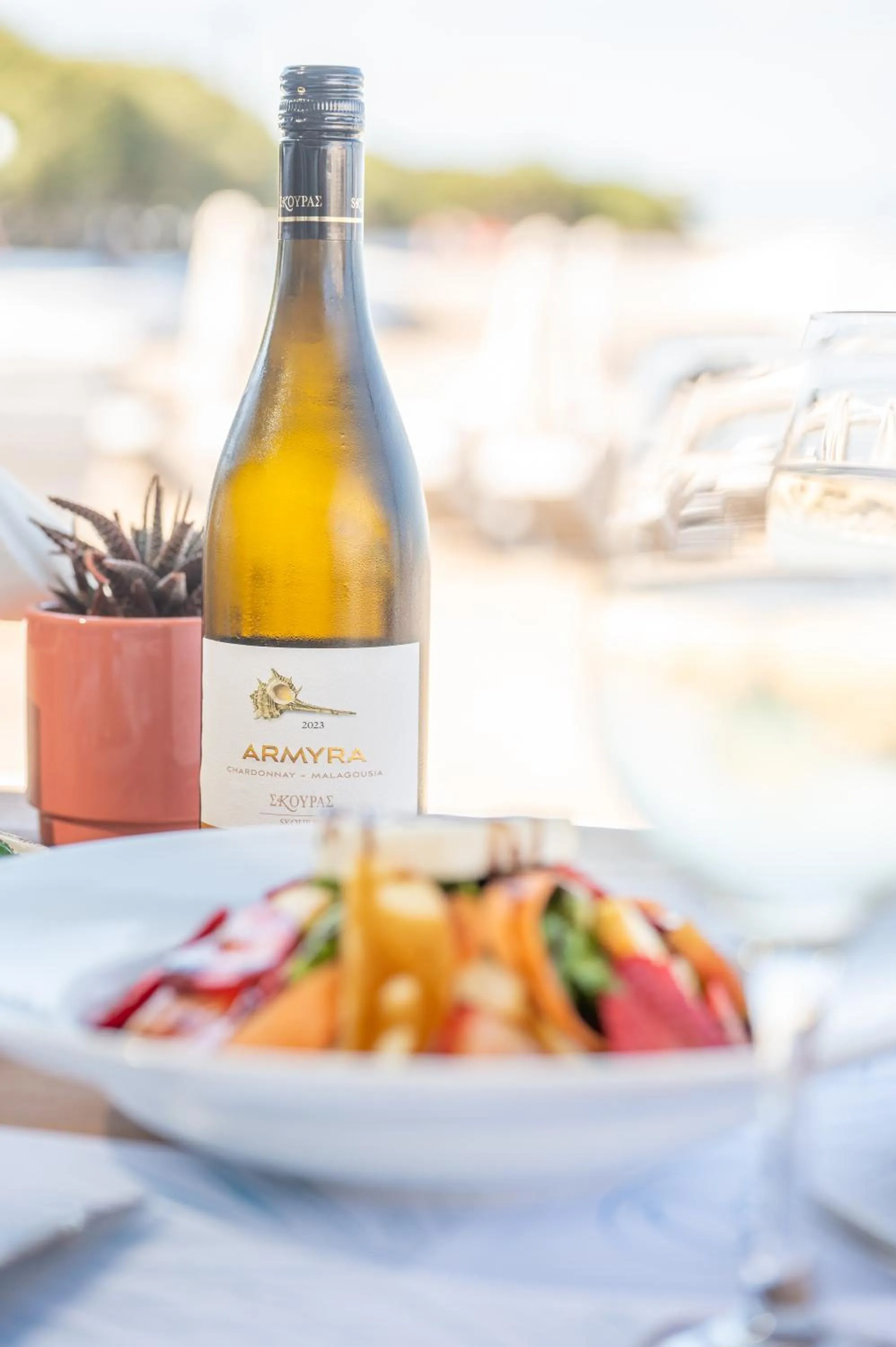 Restaurant/places to eat in Oasis Beach Hotel