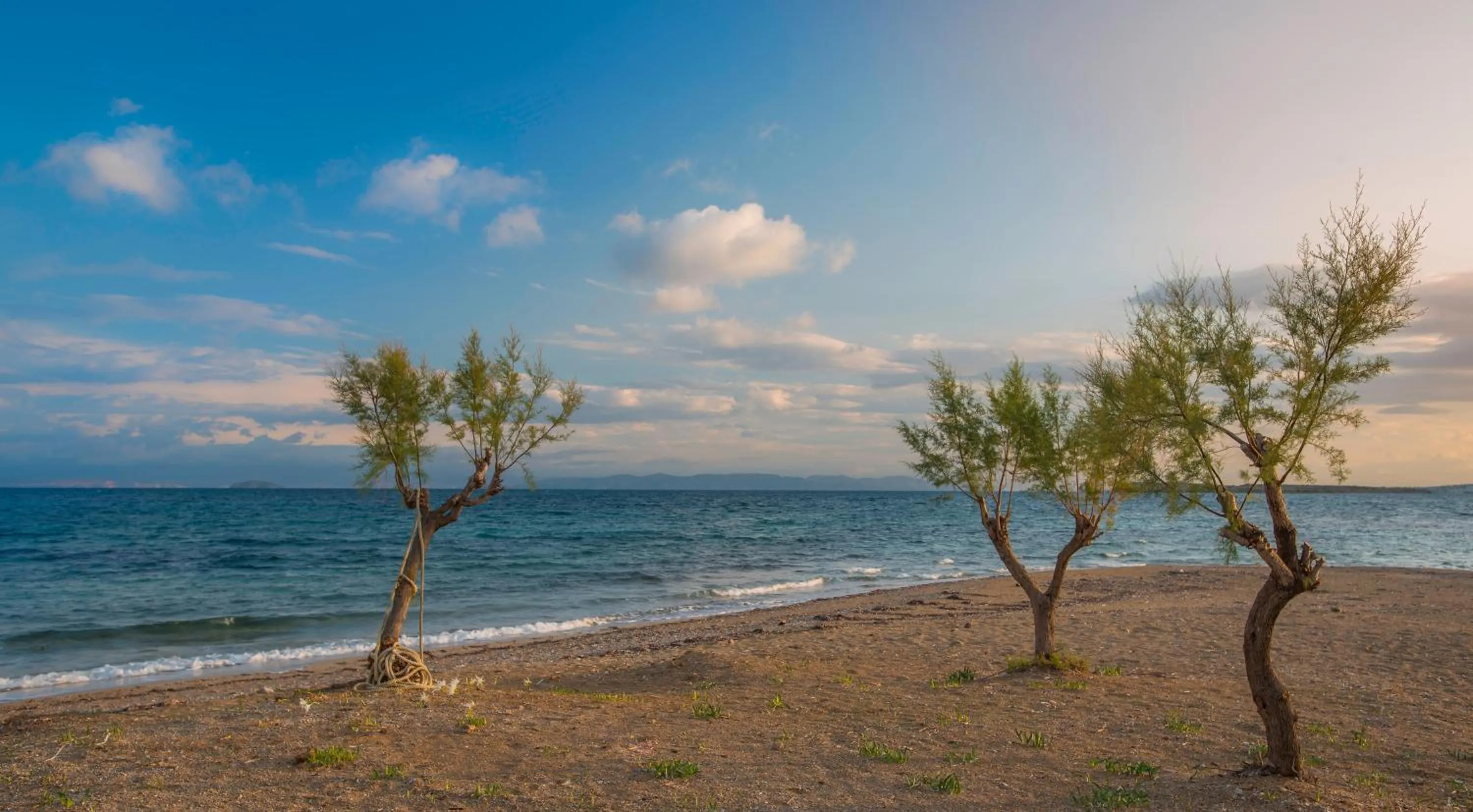 Beach in Oasis Beach Hotel