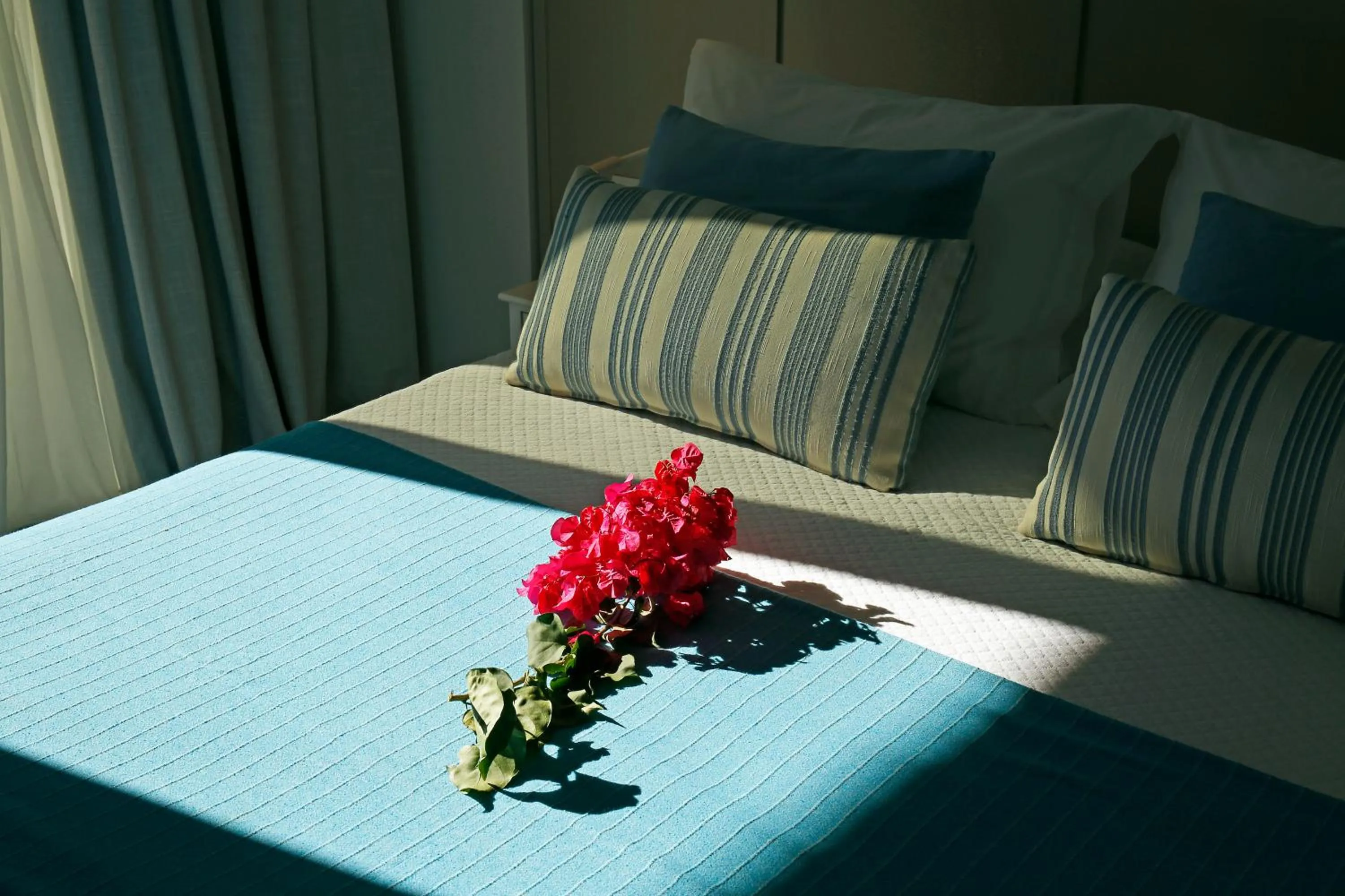 Bed in Oasis Beach Hotel