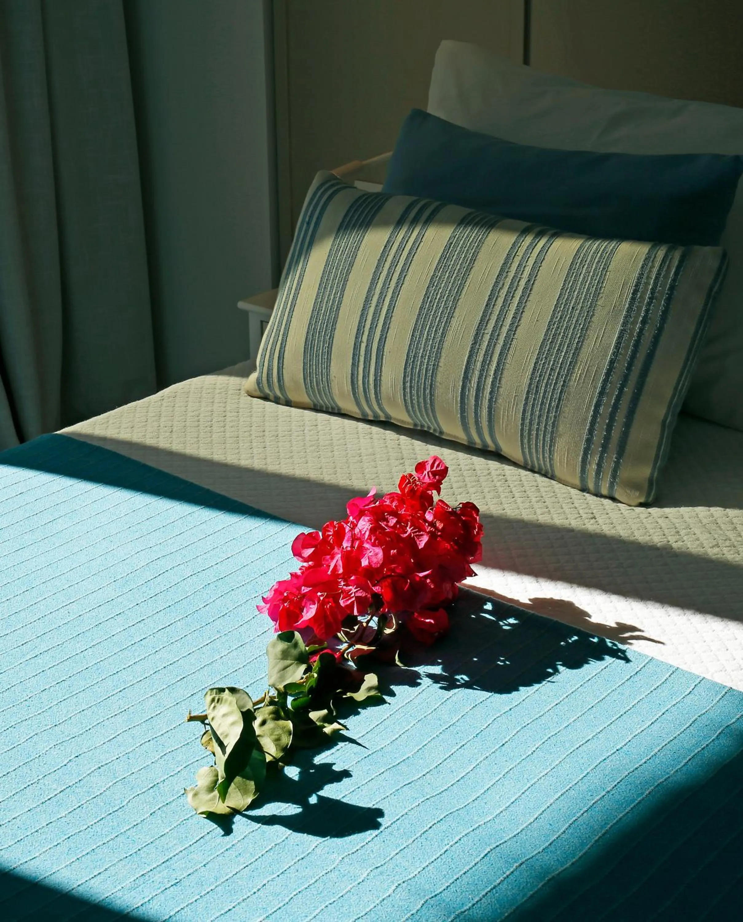 Bed in Oasis Beach Hotel