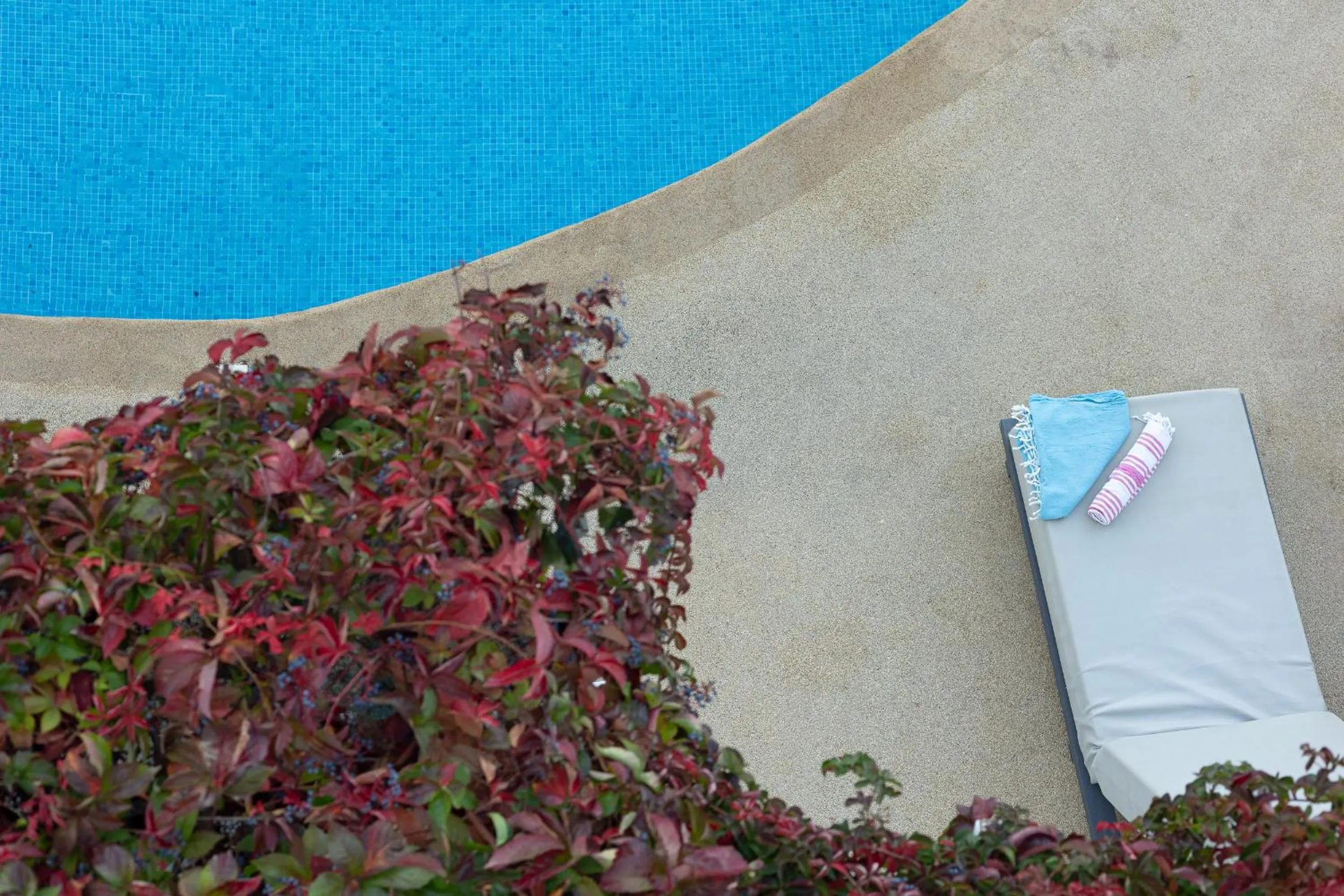 Summer in Oasis Beach Hotel