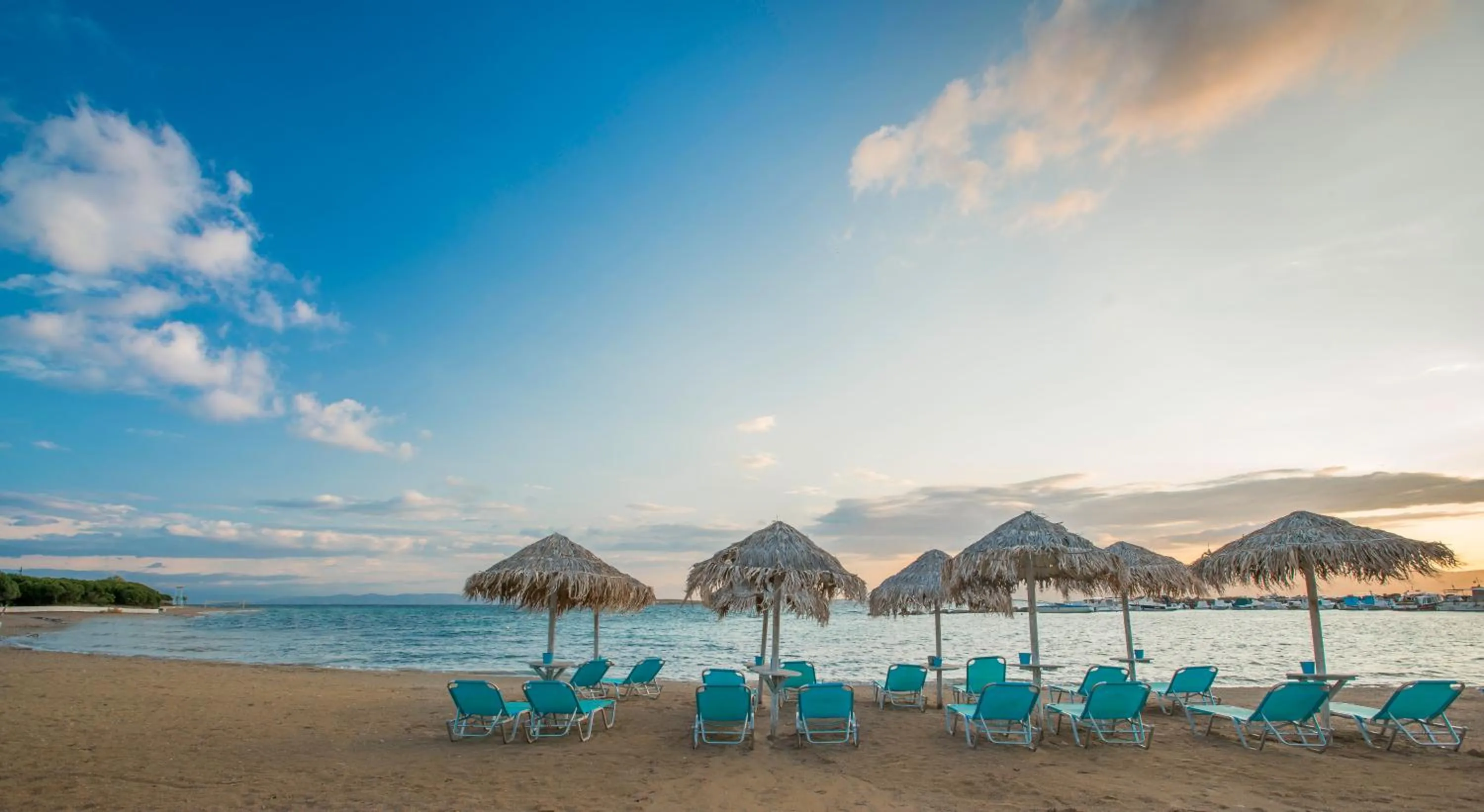 Beach in Oasis Beach Hotel