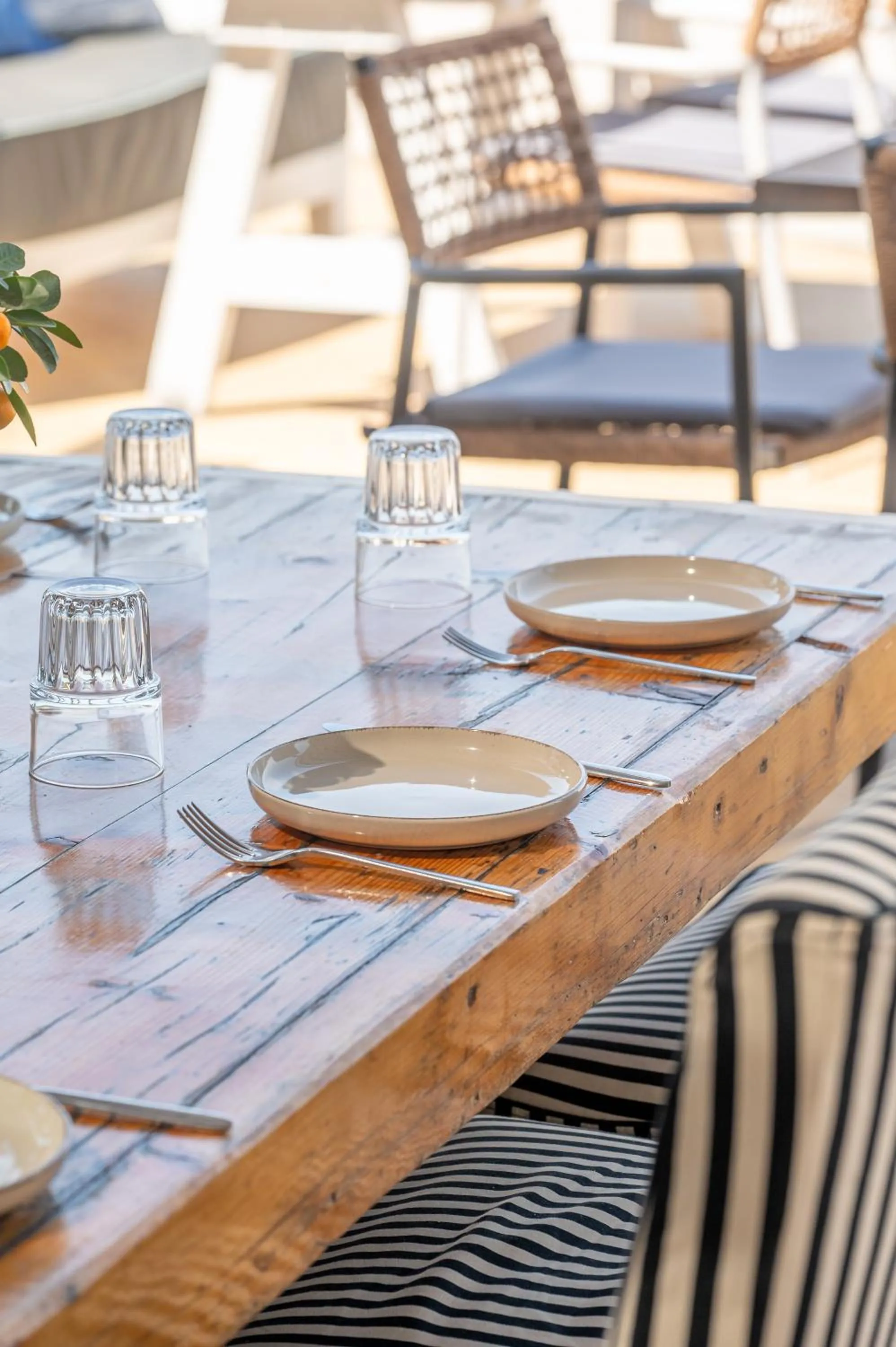 Restaurant/places to eat in Oasis Beach Hotel