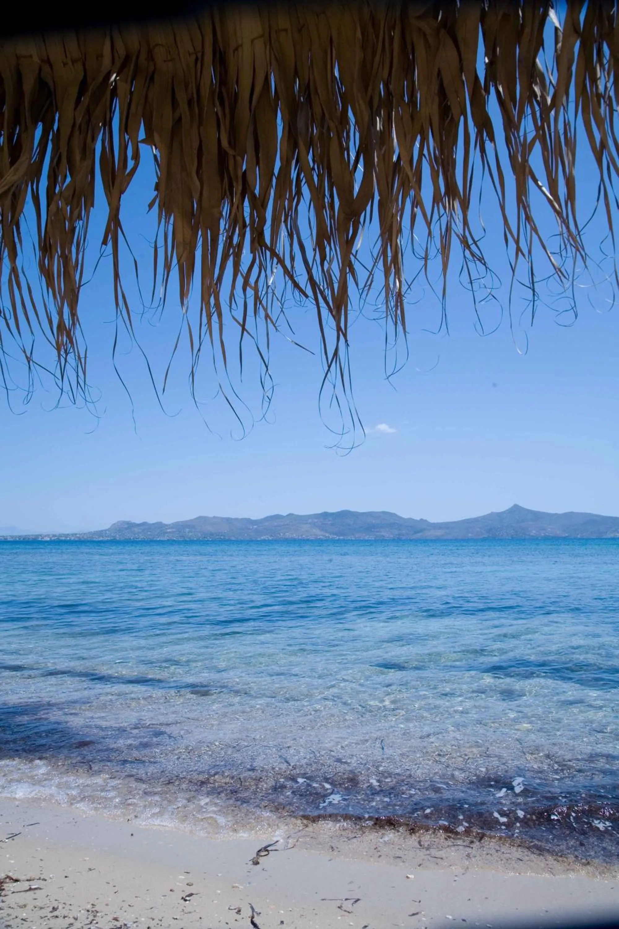 Beach in Oasis Beach Hotel