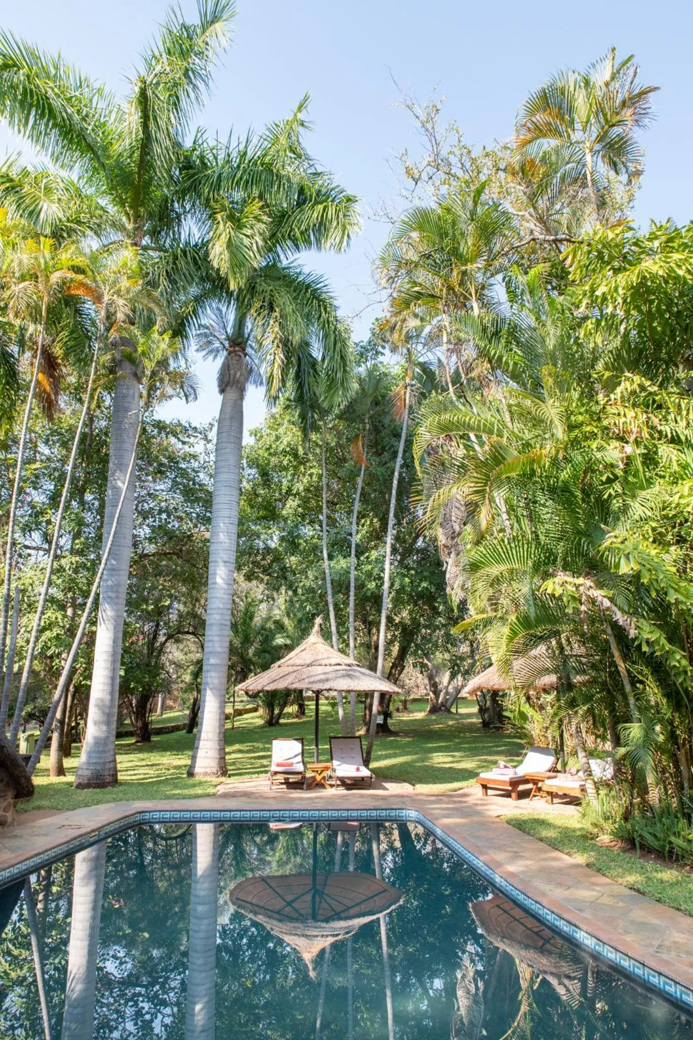 Swimming pool in Blyde River Wilderness Lodge