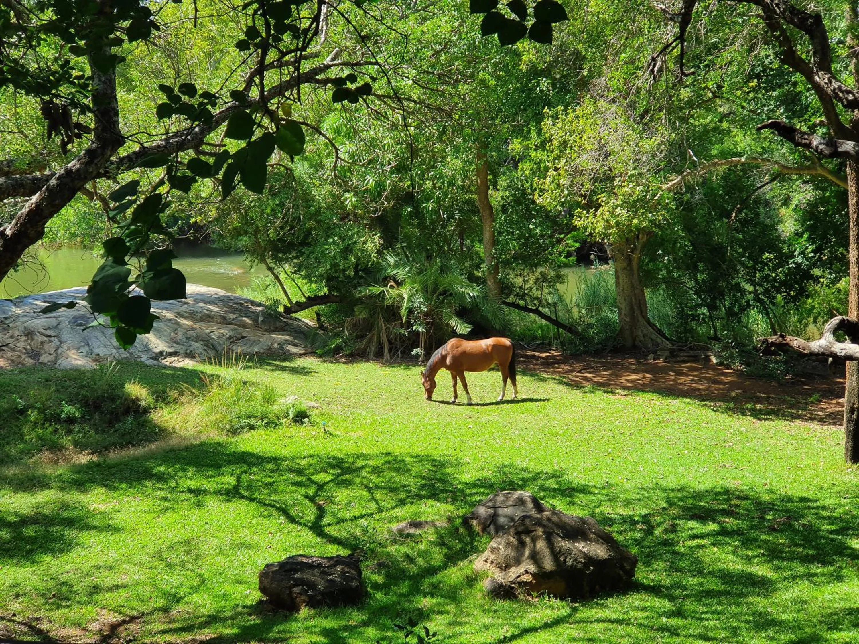 Garden in Blyde River Wilderness Lodge