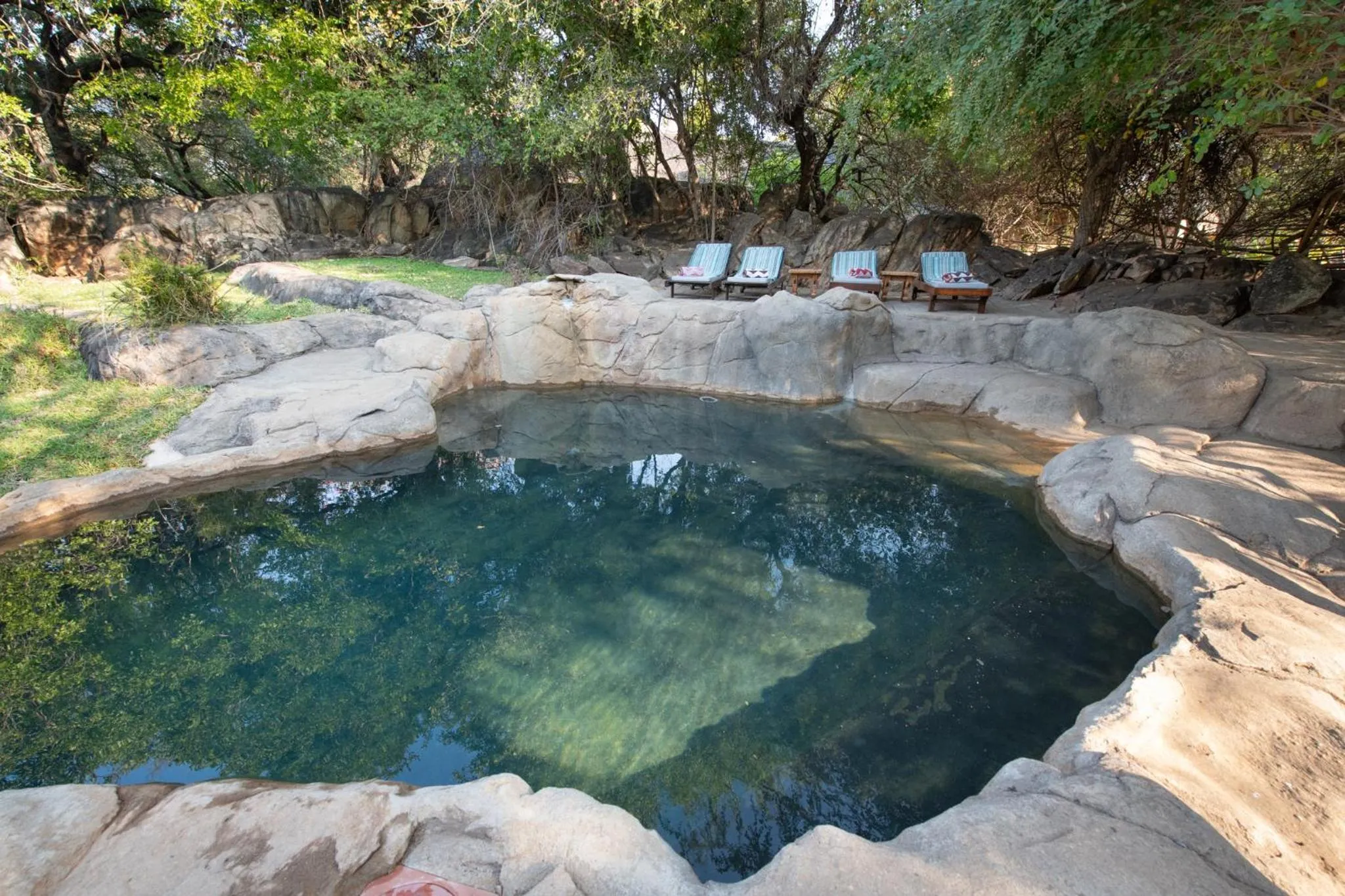 Swimming pool in Blyde River Wilderness Lodge