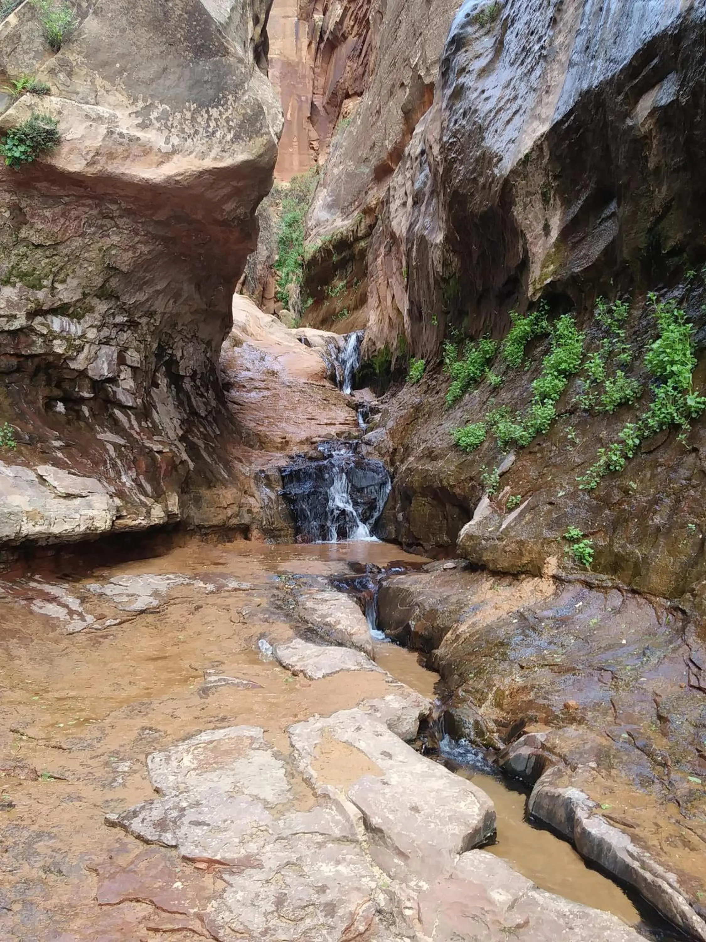 Hiking in Zion’s Cozy Cabin's