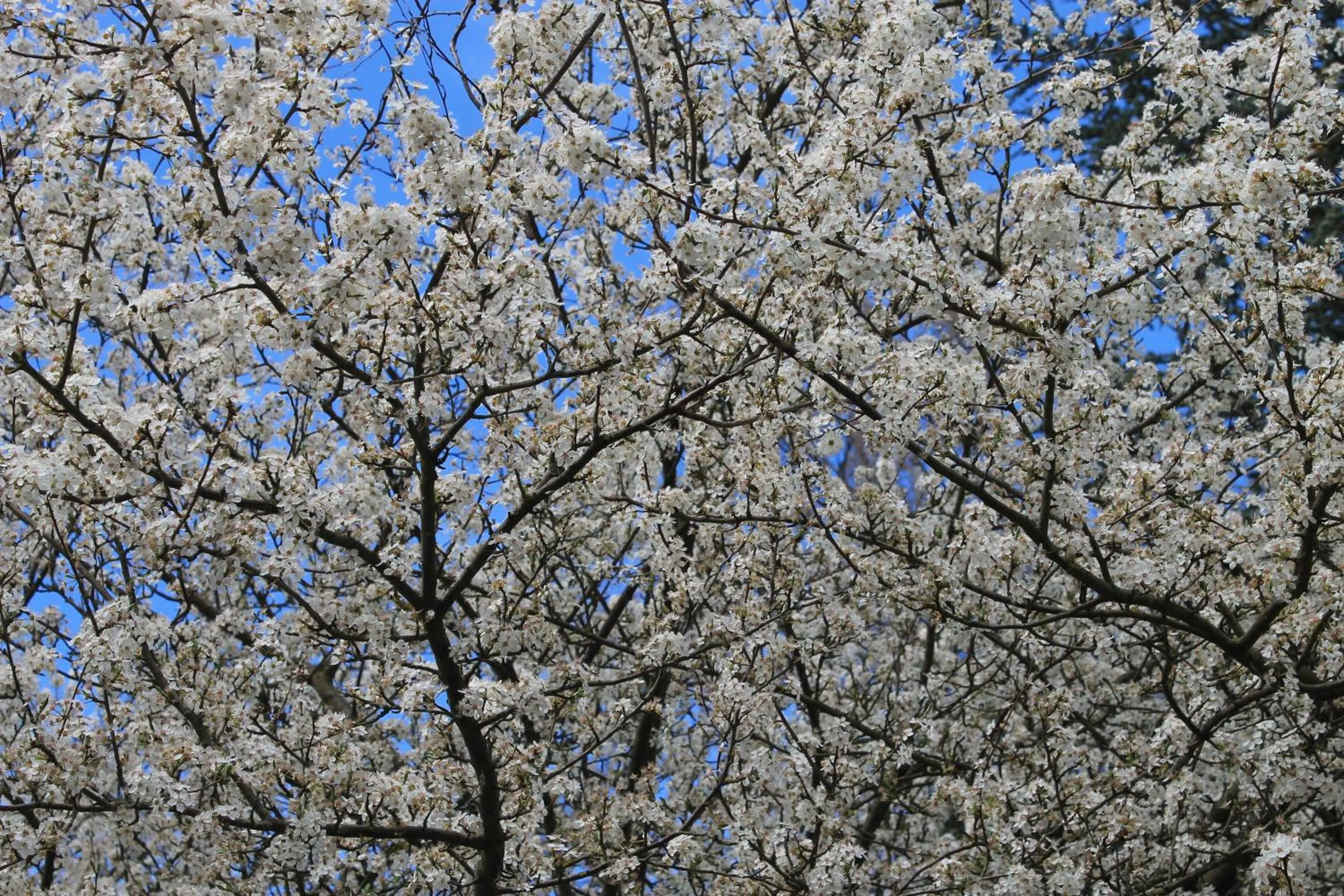 Other in Hôtel Restaurant Le Moulin de Saint Verand