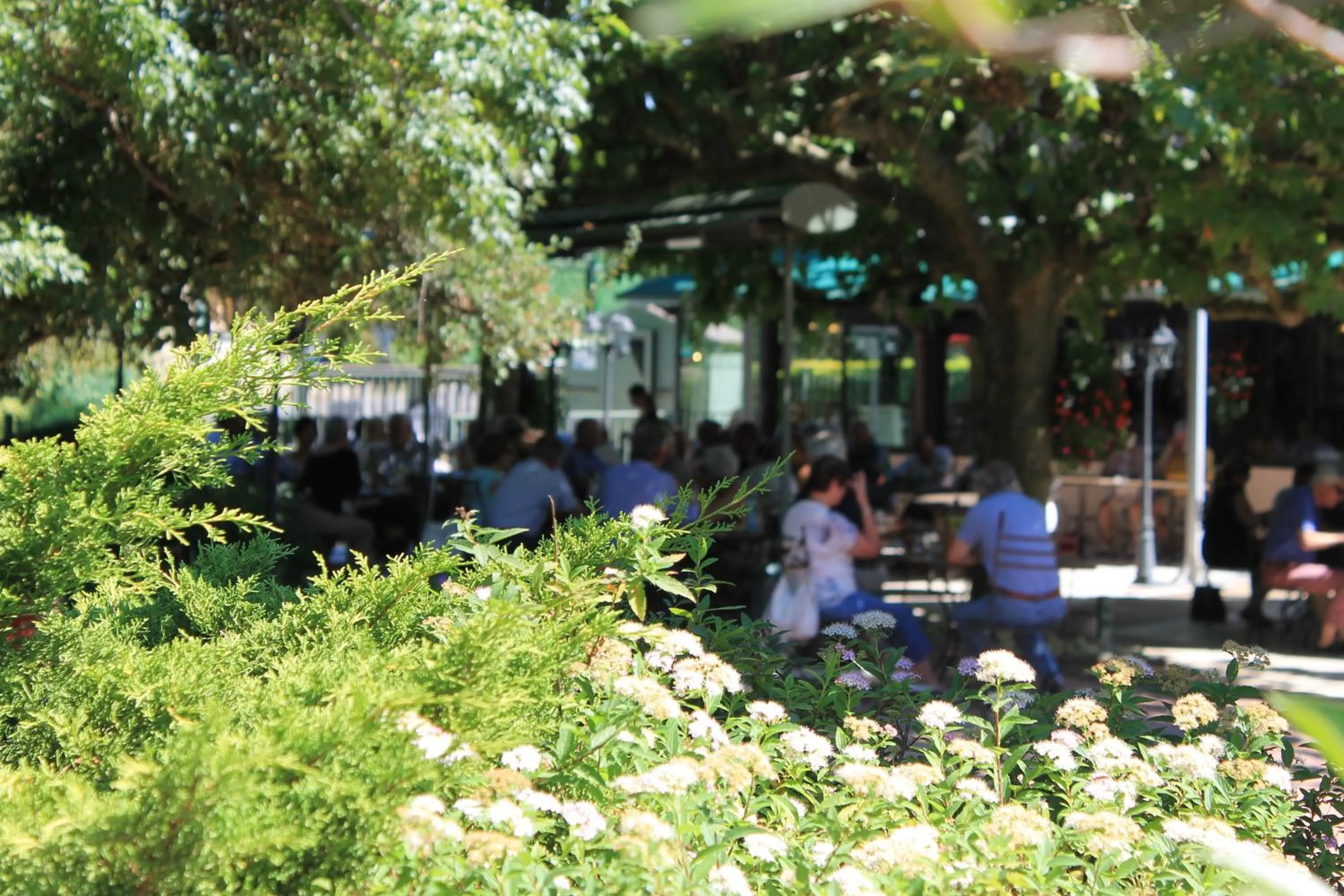 Balcony/Terrace in Hôtel Restaurant Le Moulin de Saint Verand