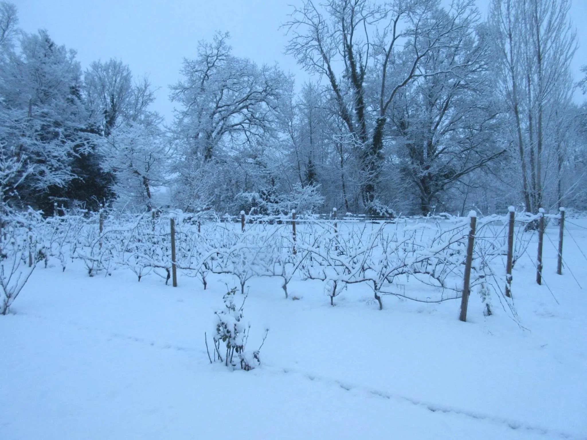Winter in Hôtel Restaurant Le Moulin de Saint Verand