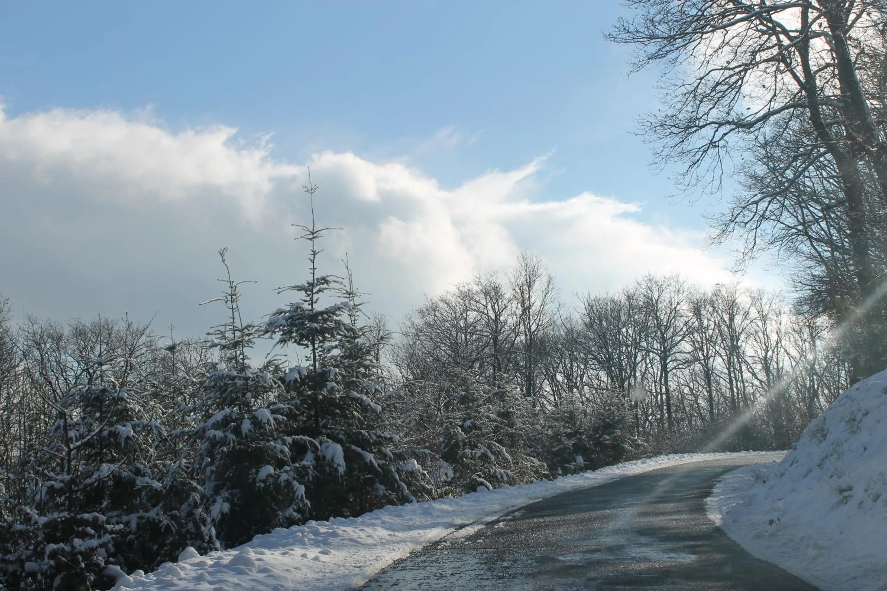 Natural landscape in Hôtel Restaurant Le Moulin de Saint Verand