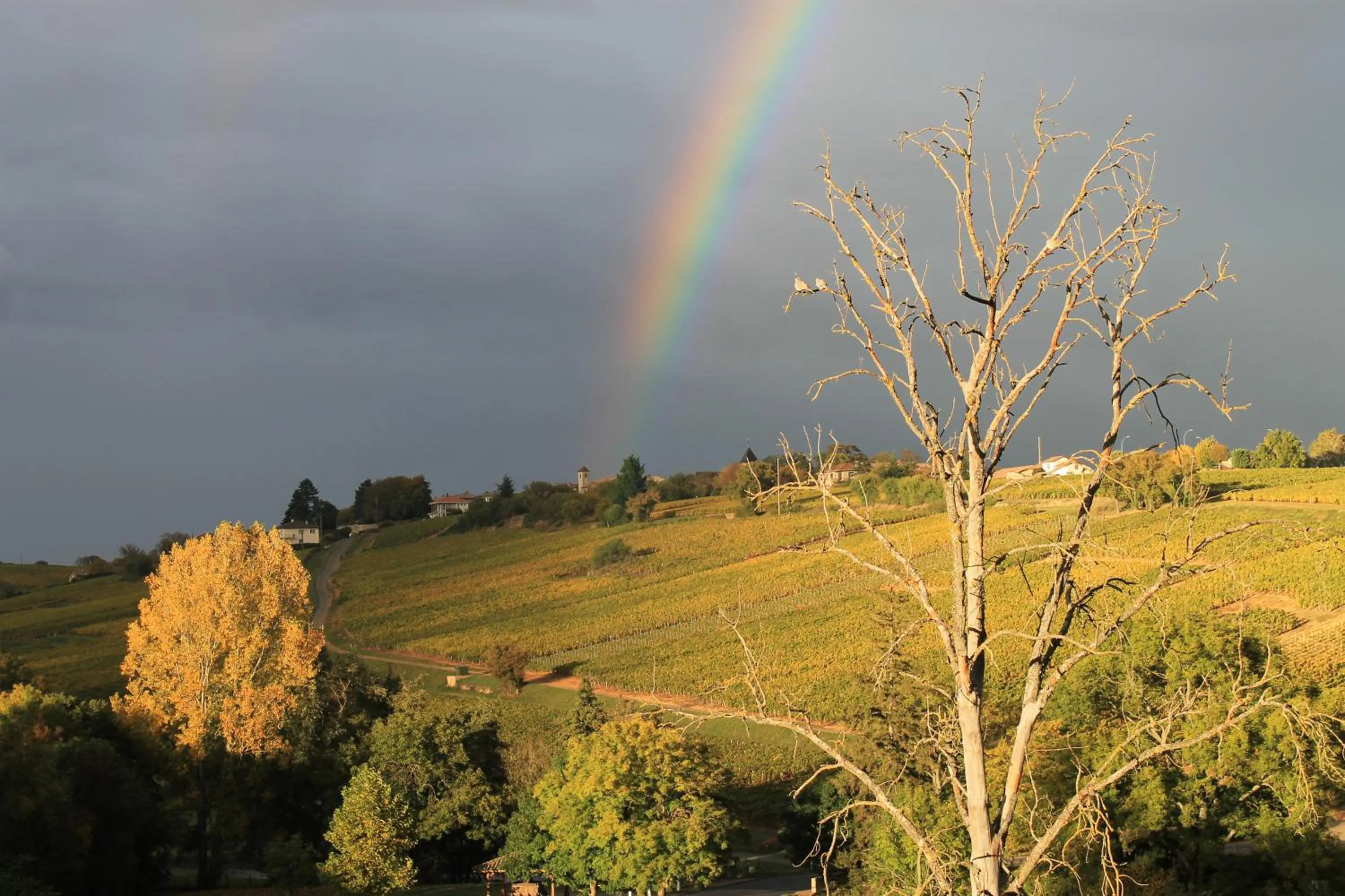 Autumn in Hôtel Restaurant Le Moulin de Saint Verand