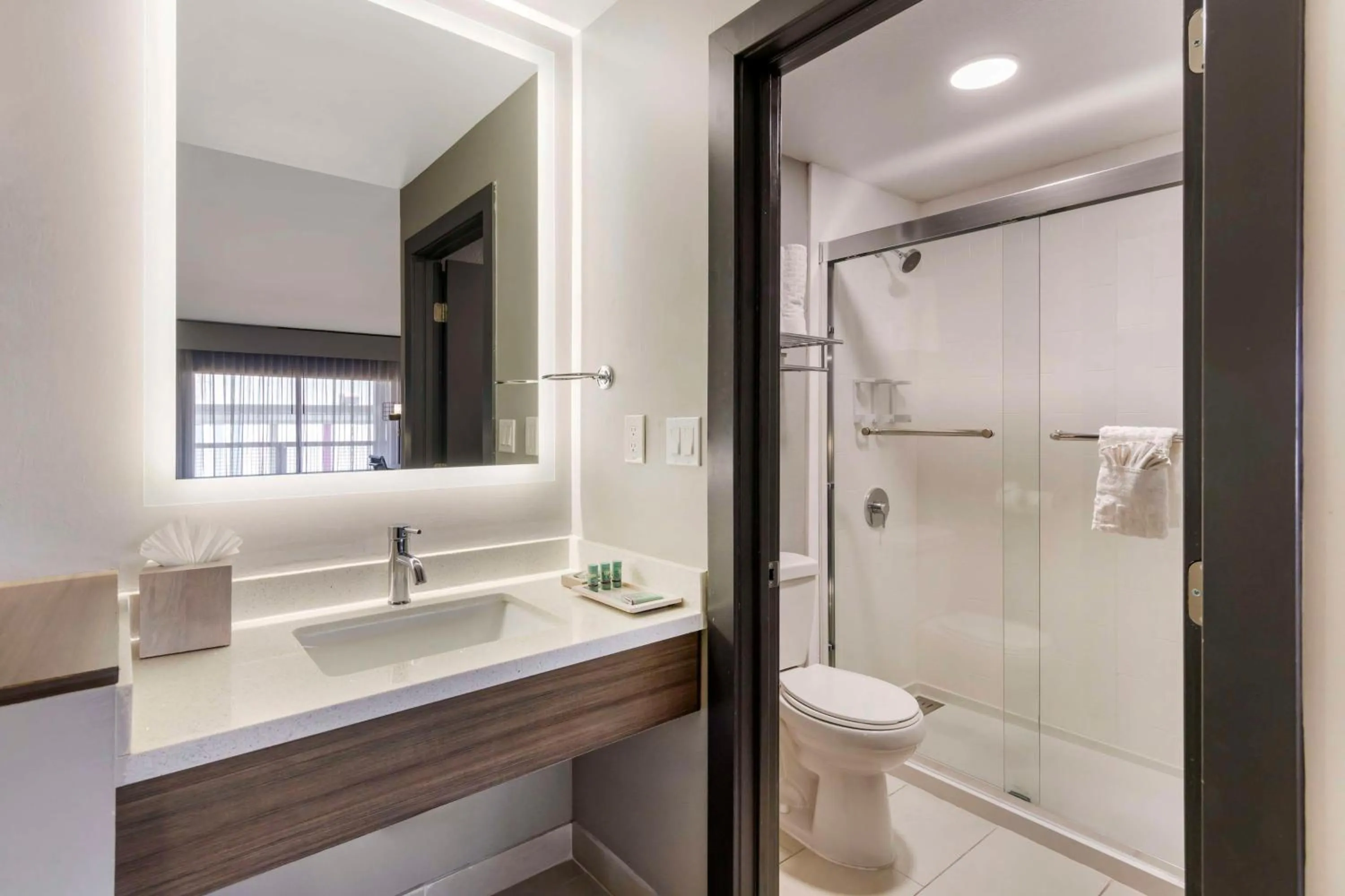 Bathroom in Aiden by Best Western South Reno