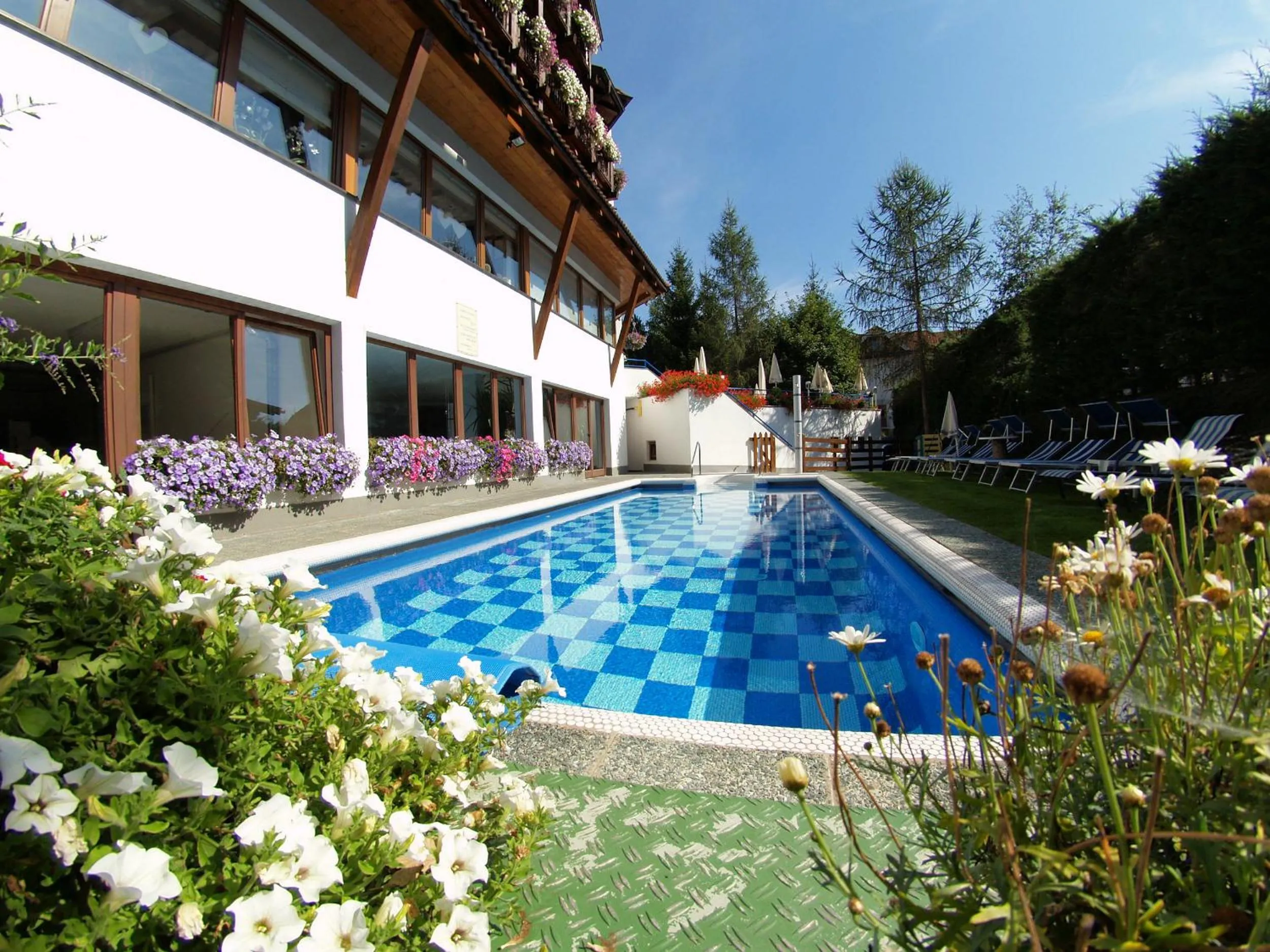 Swimming pool in Hotel Montana
