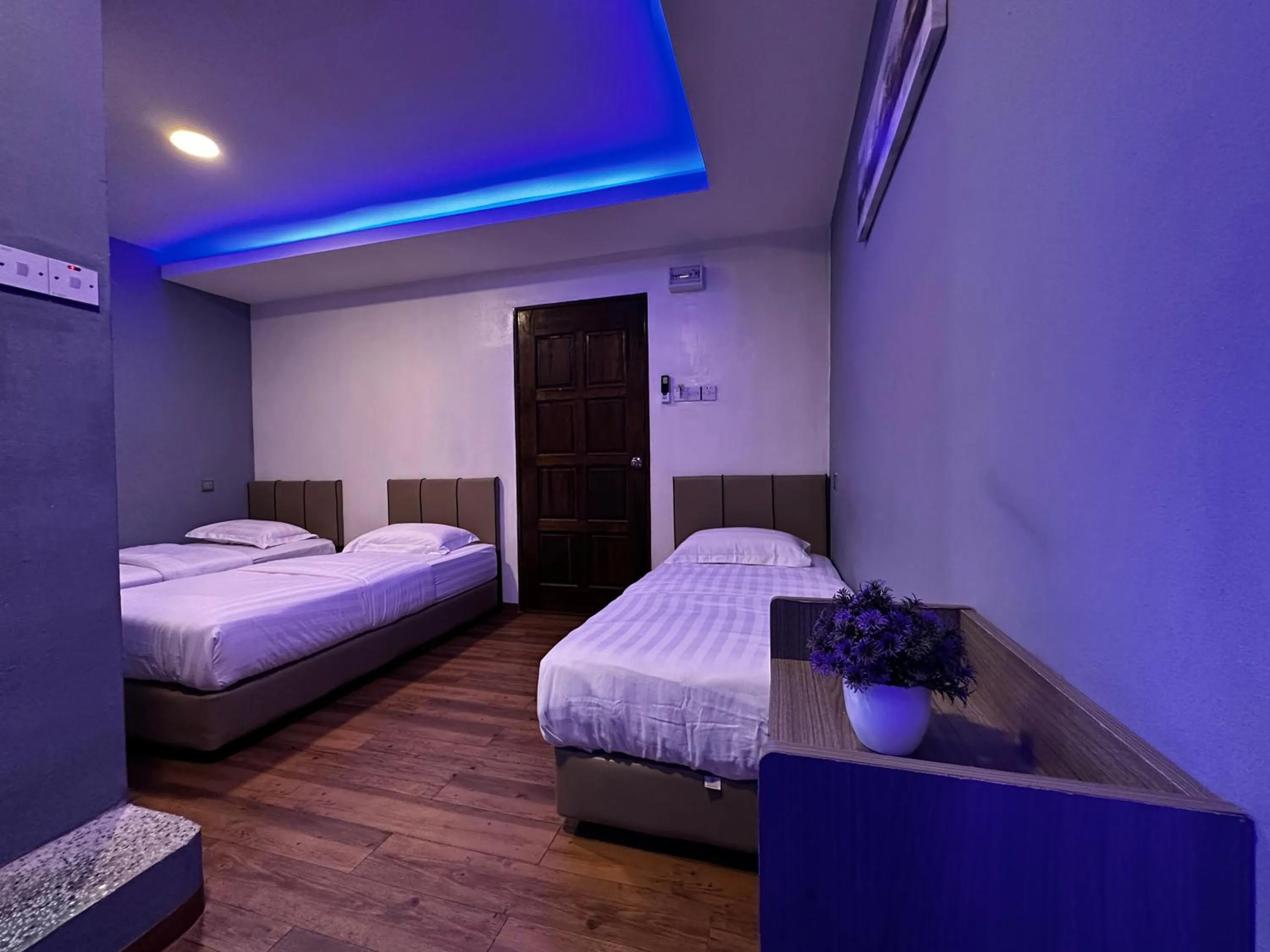 Bed in Cow B Homestay Semporna