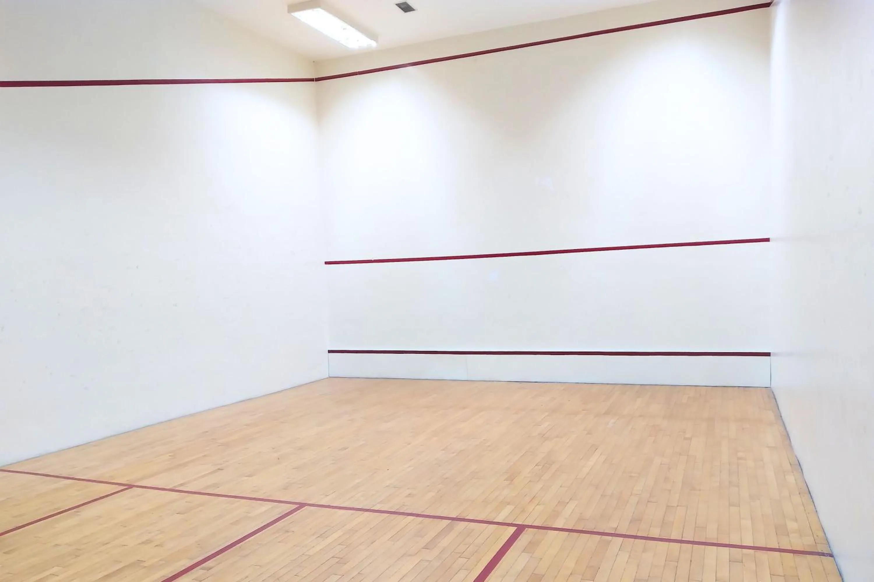 Squash in The Alpha Suites