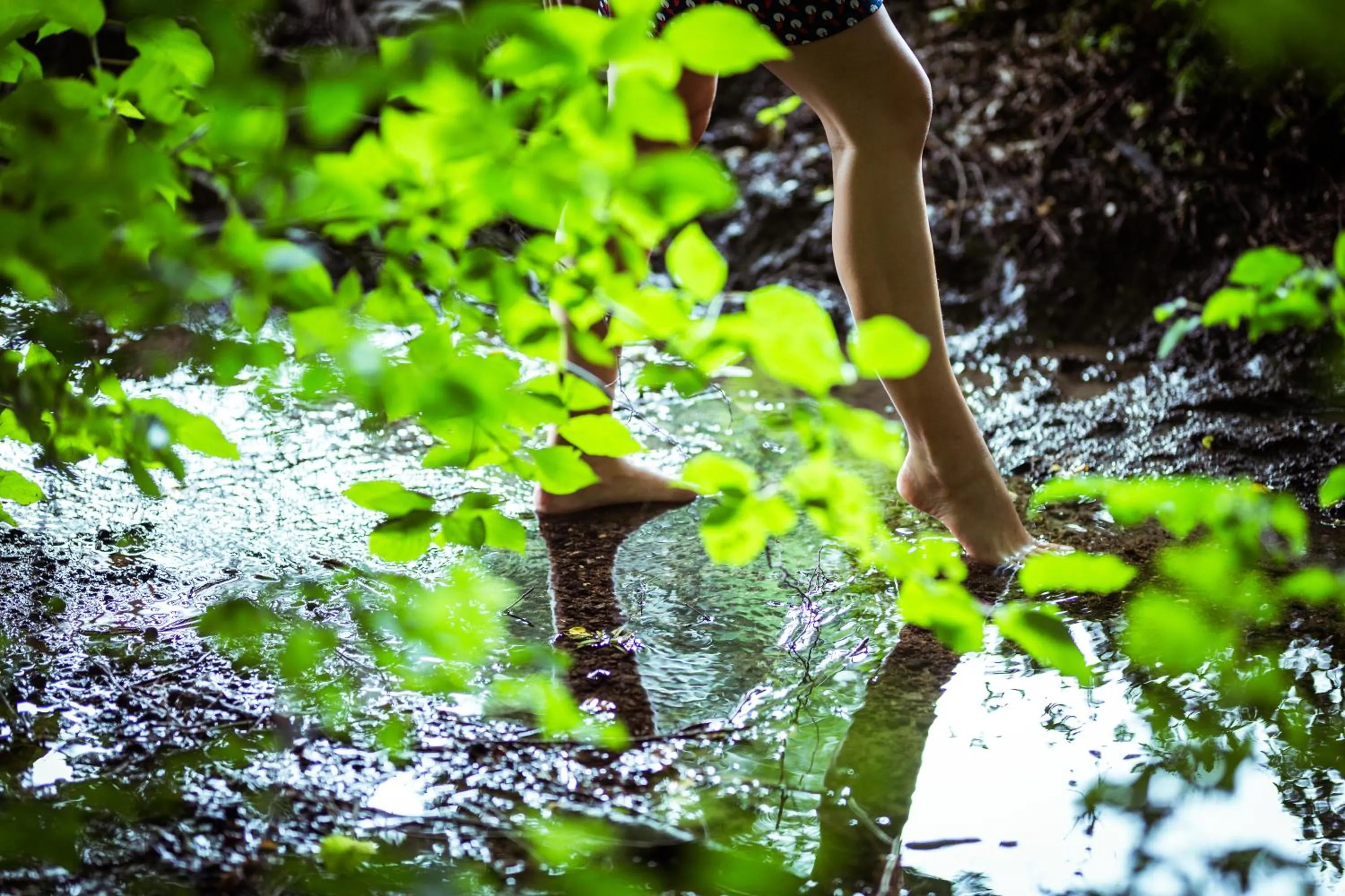Nearby landmark in Hotel Alpenrose