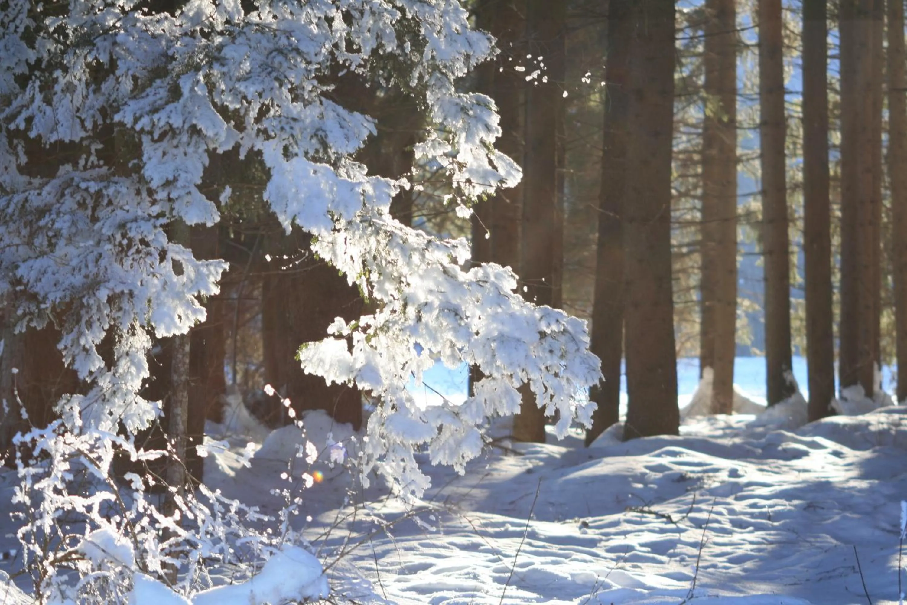 Winter in Pension Oberjörg