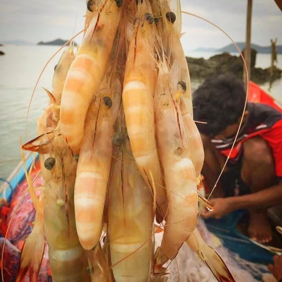 Koh Phaluai Beach Bangalow