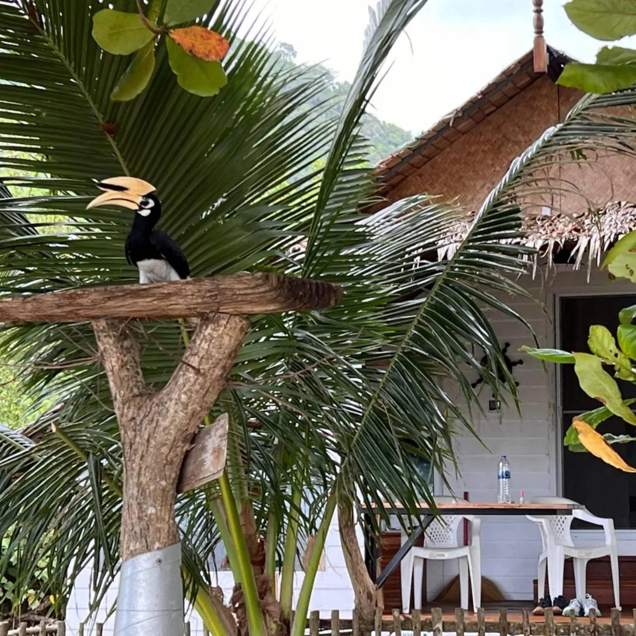 Day in Koh Phaluai Beach Bangalow